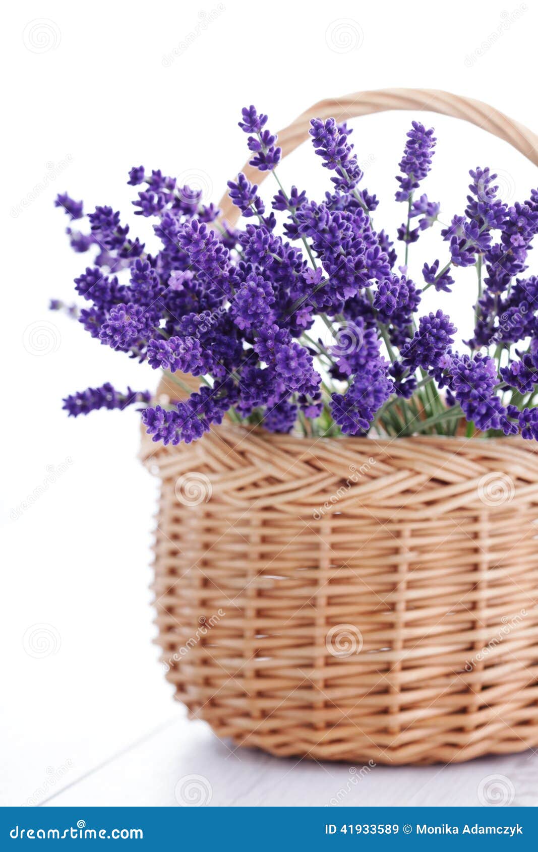 Cesta de lavanda imagen de archivo. Imagen de planta - 41933589