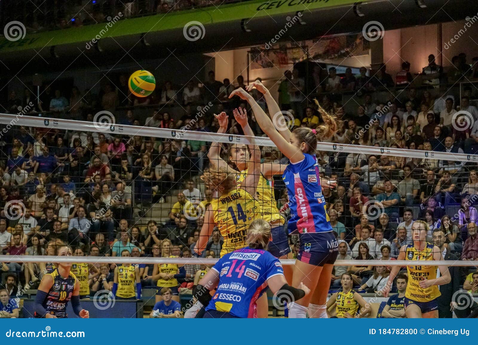 final champions league volleyball 2019