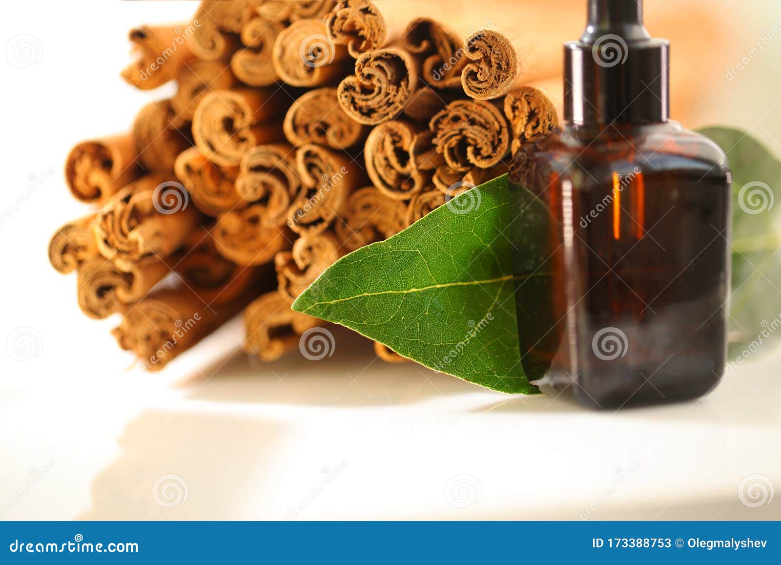 Ceylon Cinnamon Sticks Wholesale Packaging Stock Image Image of food
