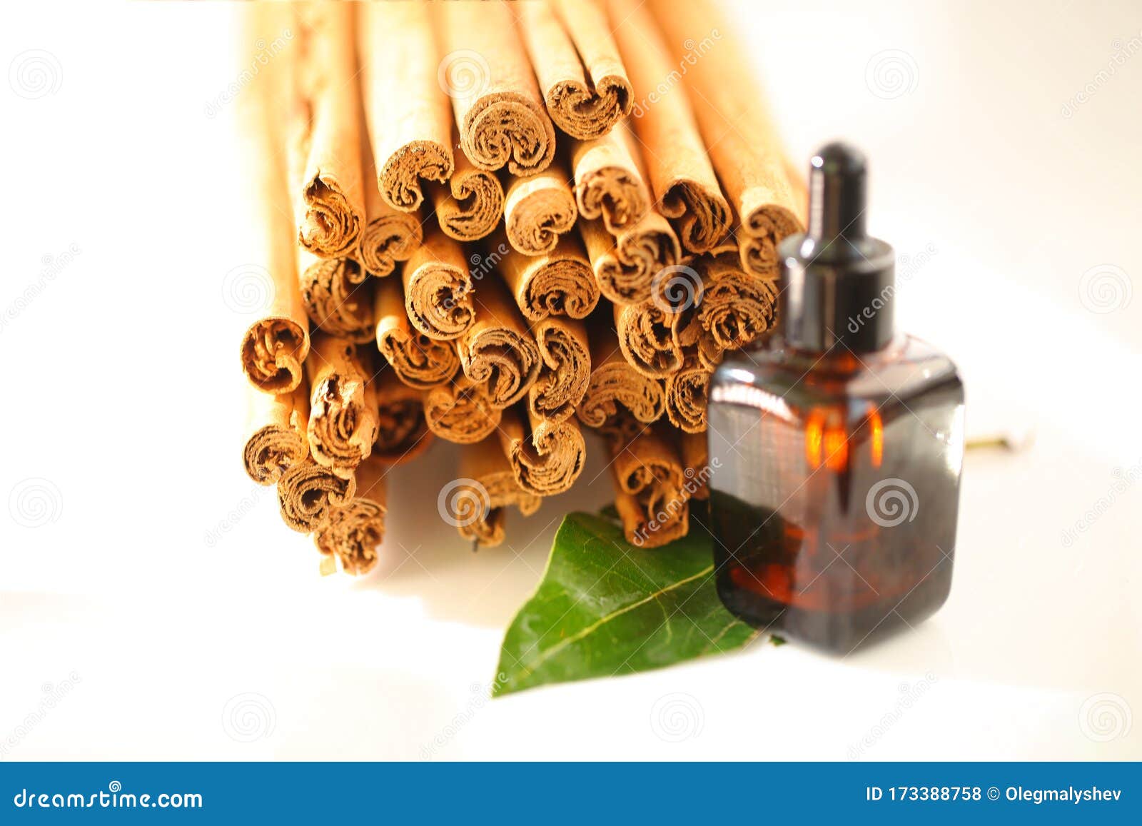 Ceylon Cinnamon Sticks Wholesale Packaging Stock Photo Image of