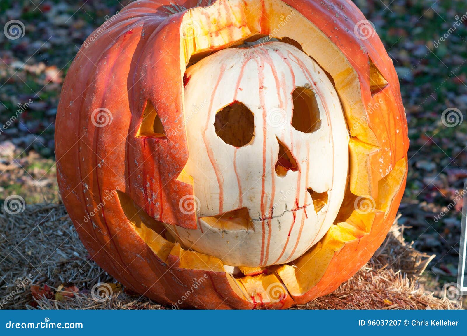 CHADDS FORD, PA OCTOBER 26 the Great Pumpkin Carve Carving Contest