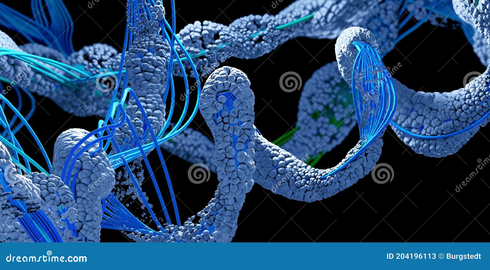 Chain of Amino Acid or Bio Molecules Called Protein 3d Illustration