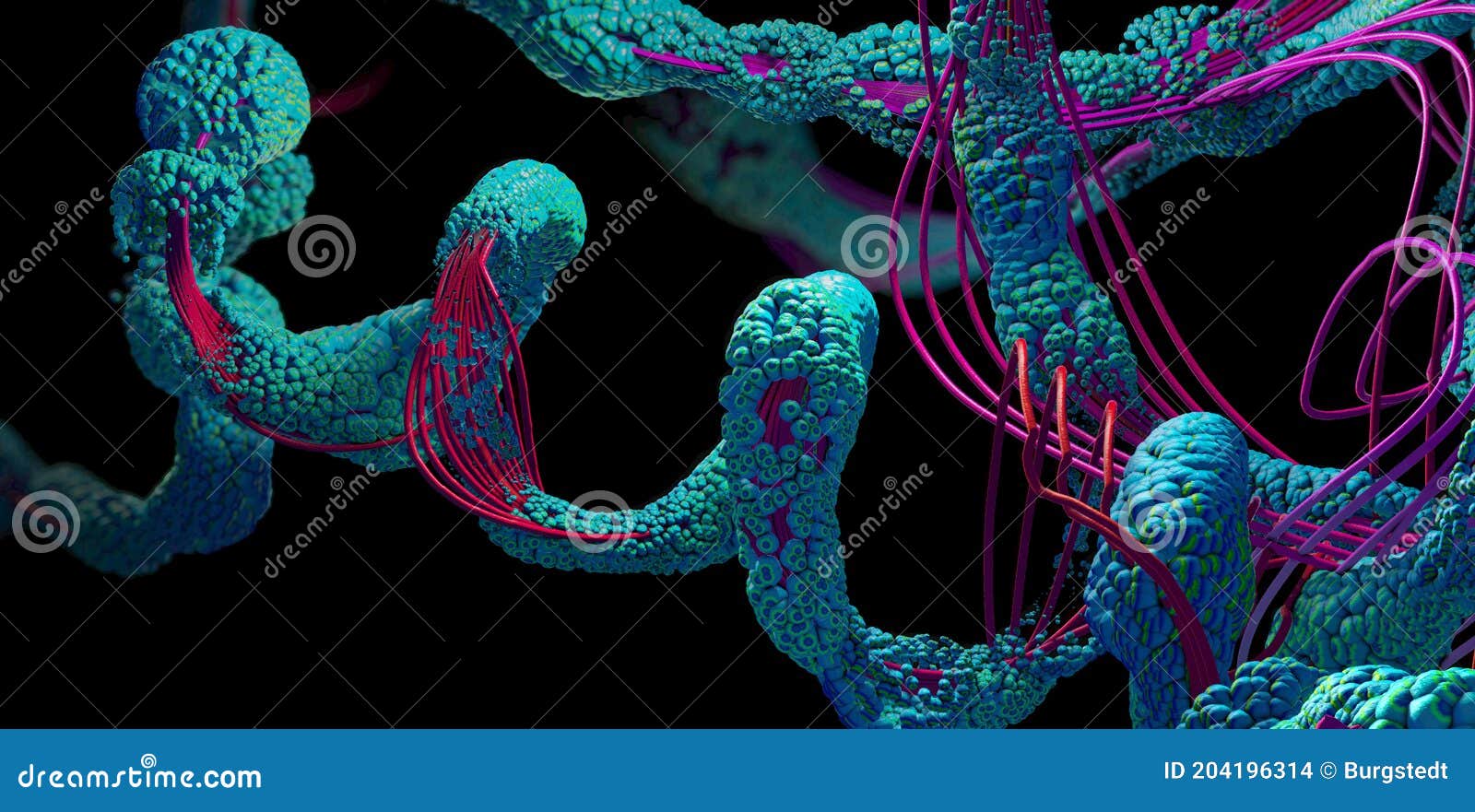 Chain of Amino Acid or Bio Molecules Called Protein 3d Illustration