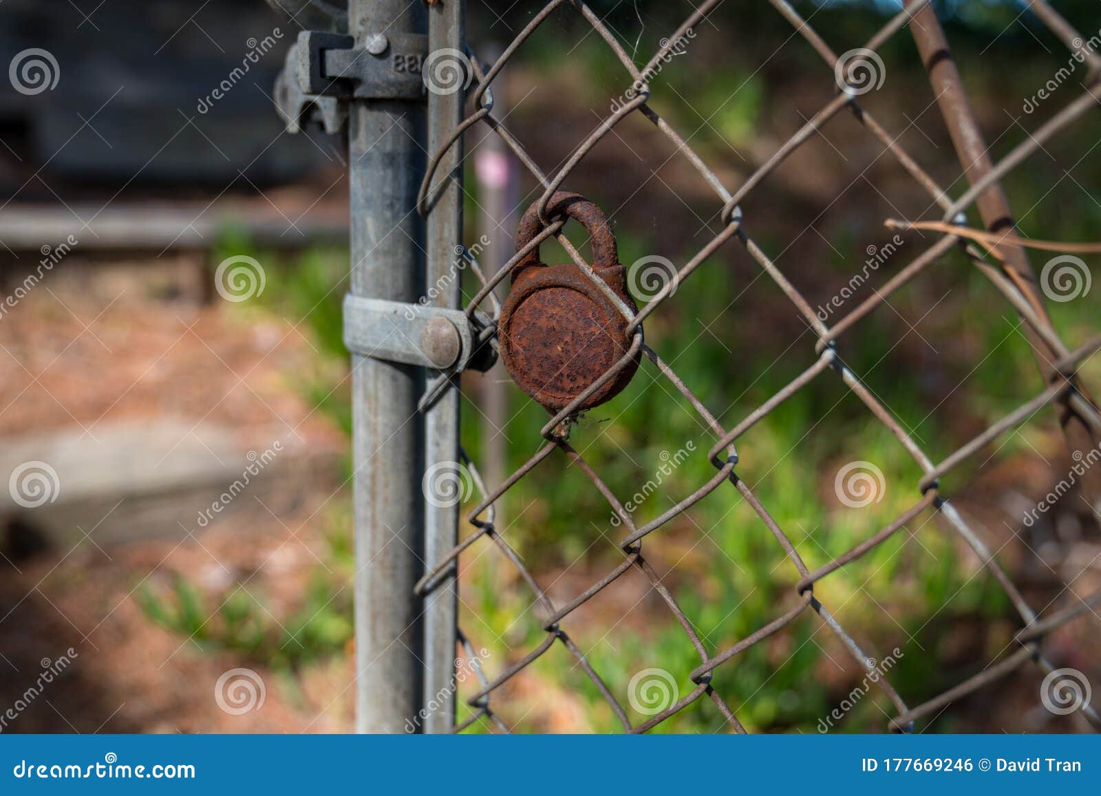 Chain Link Fence with Rusted Padlock Opening in Nature Area Stock Photo