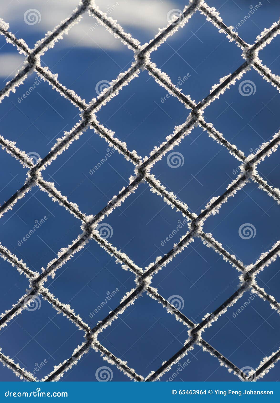 Chain link fence with snow stock photo. Image of security - 65463964