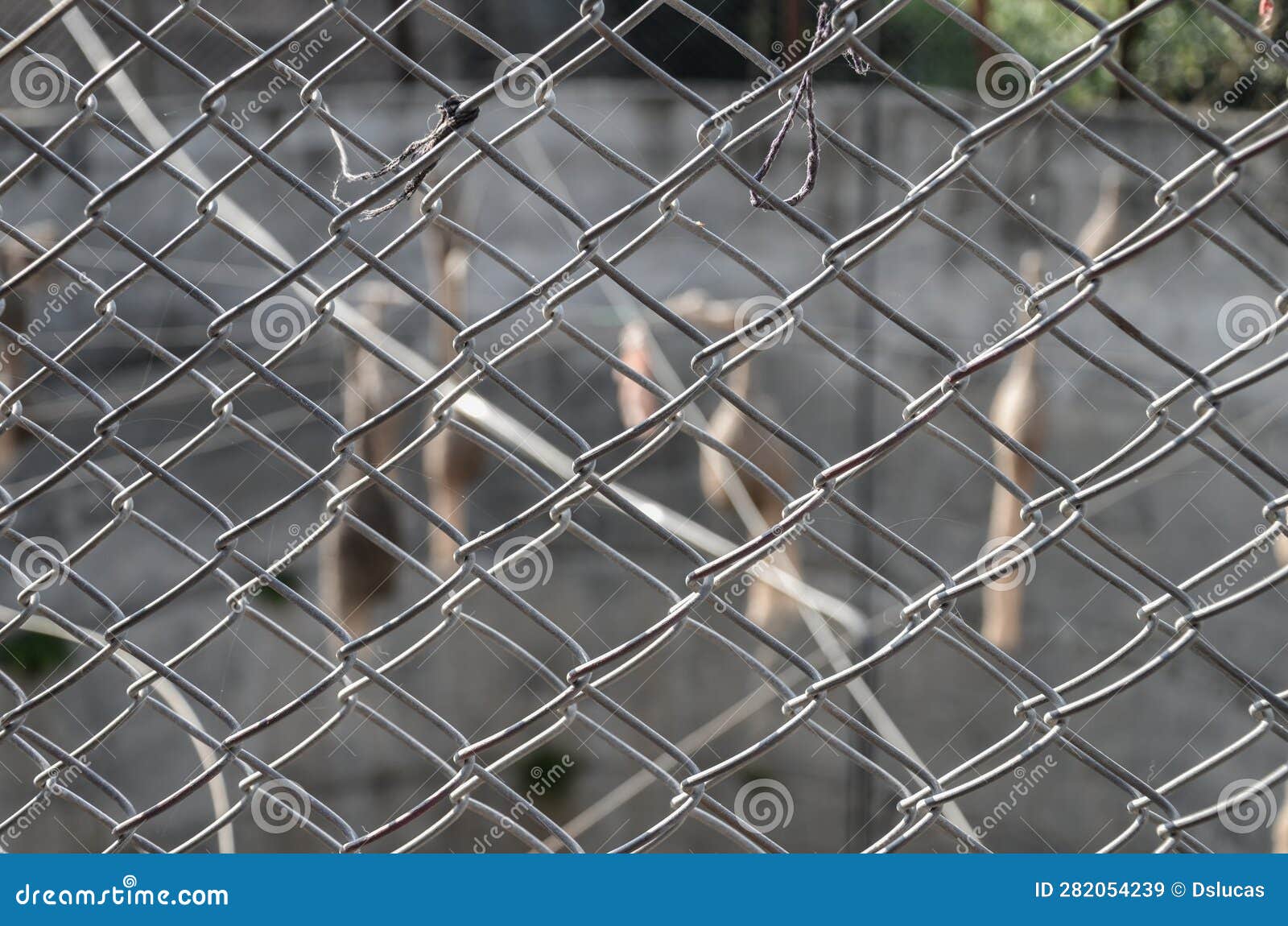 Chain link fencing stock image. Image of grid, industry - 282054239