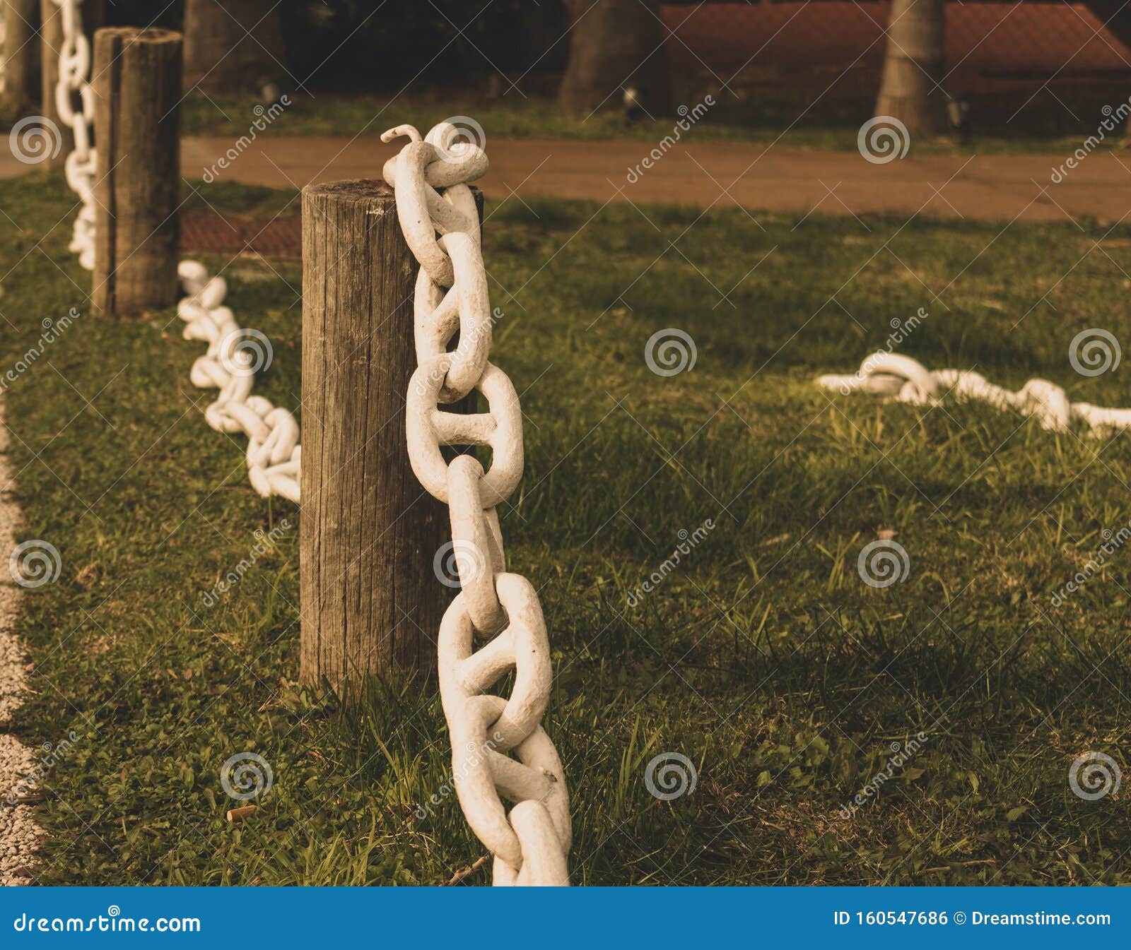 chains and grass  buceo montevideo uruguay