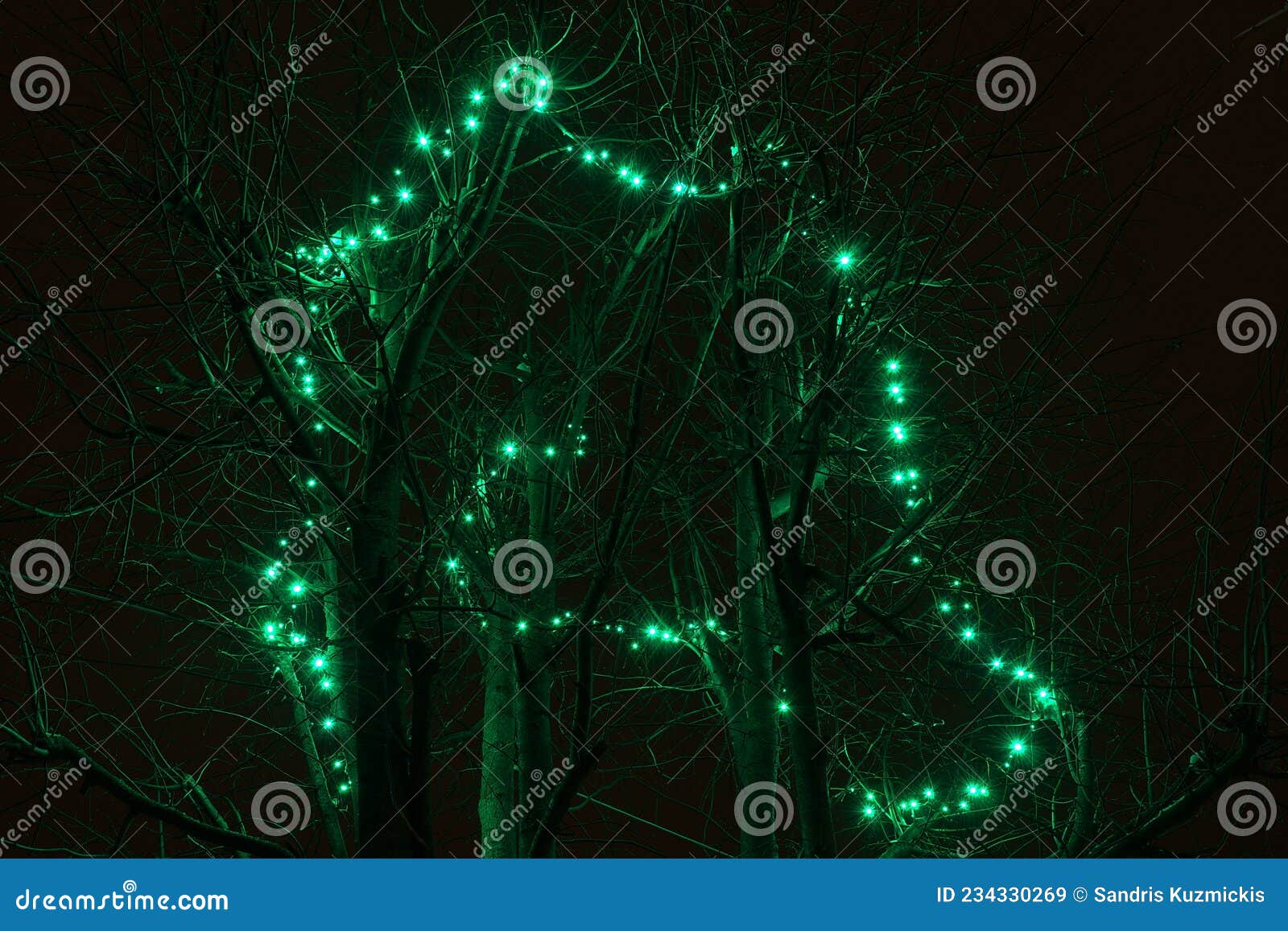 Chains of Green Lights on Tree Branches on a Winter Night Stock Image Image of winter