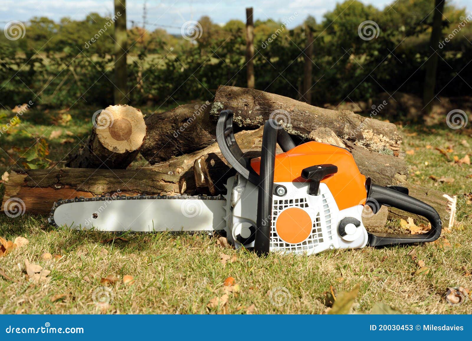 Chainsaw stock image. Image of orange, environment, aboriculture 20030453