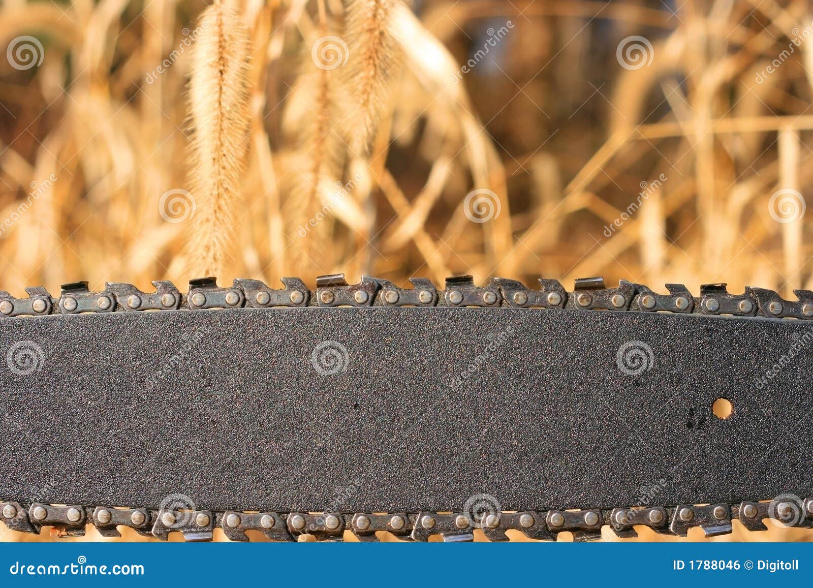 Chainsaw Blade stock photo. Image of tool, tools, blade 1788046