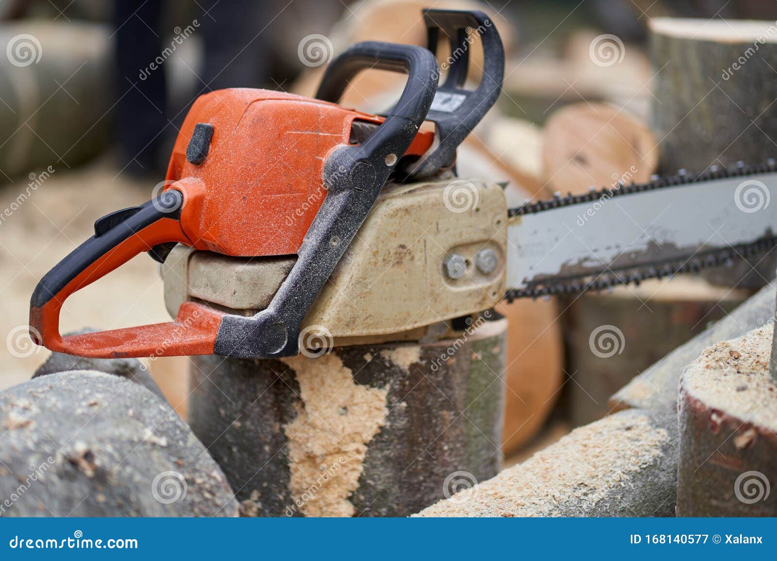 Chainsaw and bucked logs stock image. Image of buck 168140577