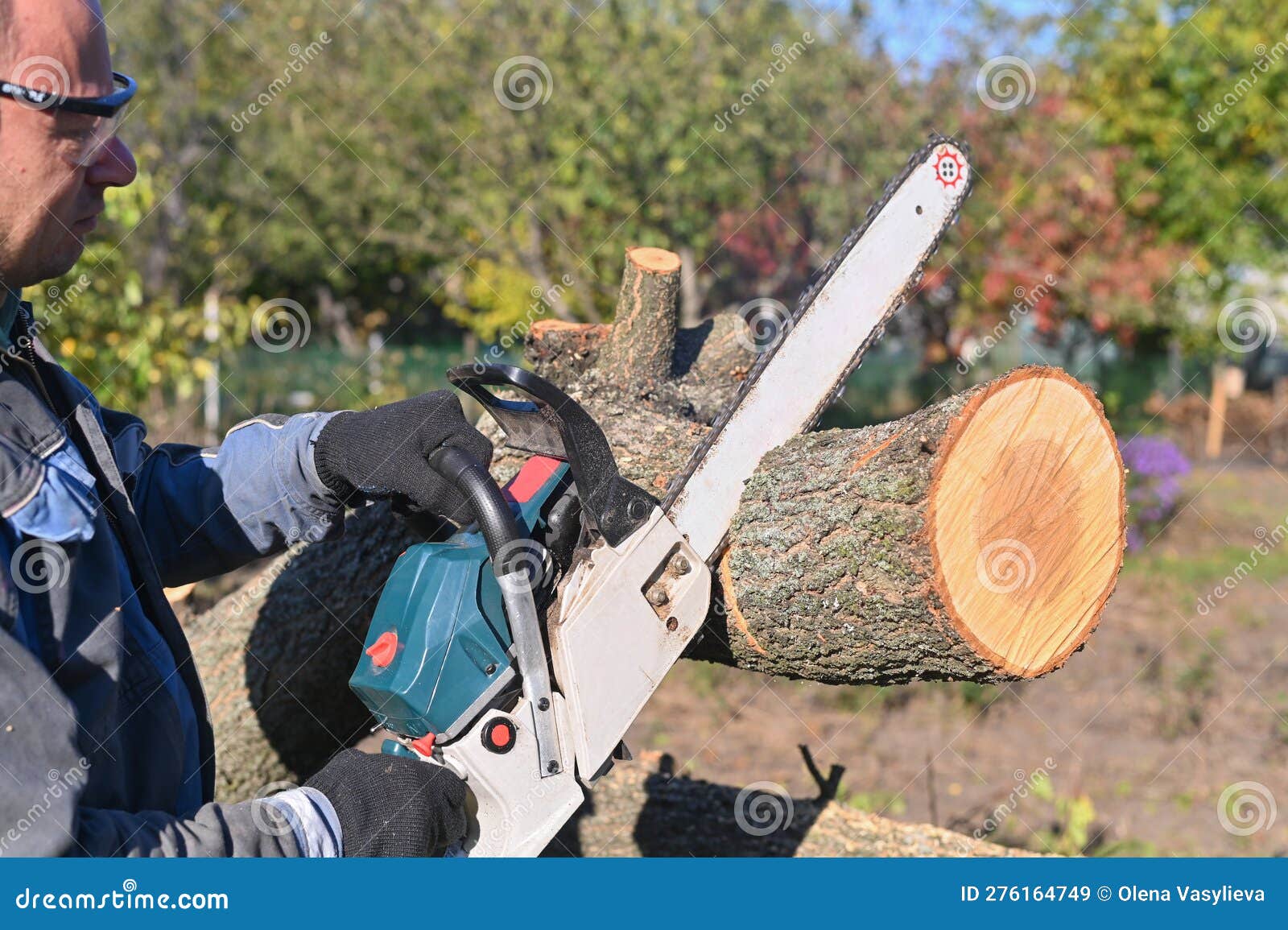Chainsaw in Hand. a Man Saws a Tree. Stock Image Image of machinery