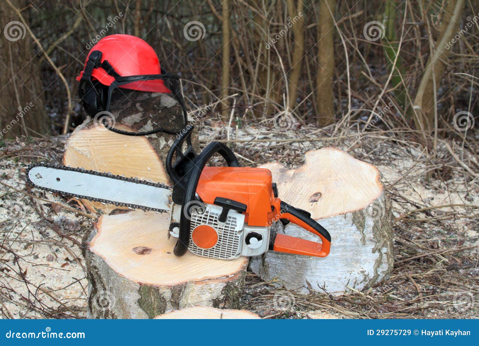 Chainsaw and Protective Safety Equipment Stock Image Image of slice