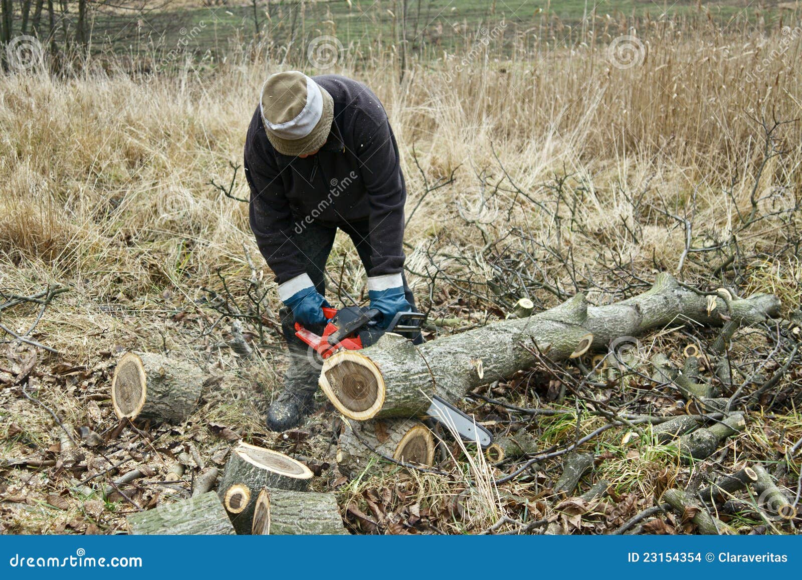 Chainsaw work stock photo. Image of brown, branch, nature 23154354