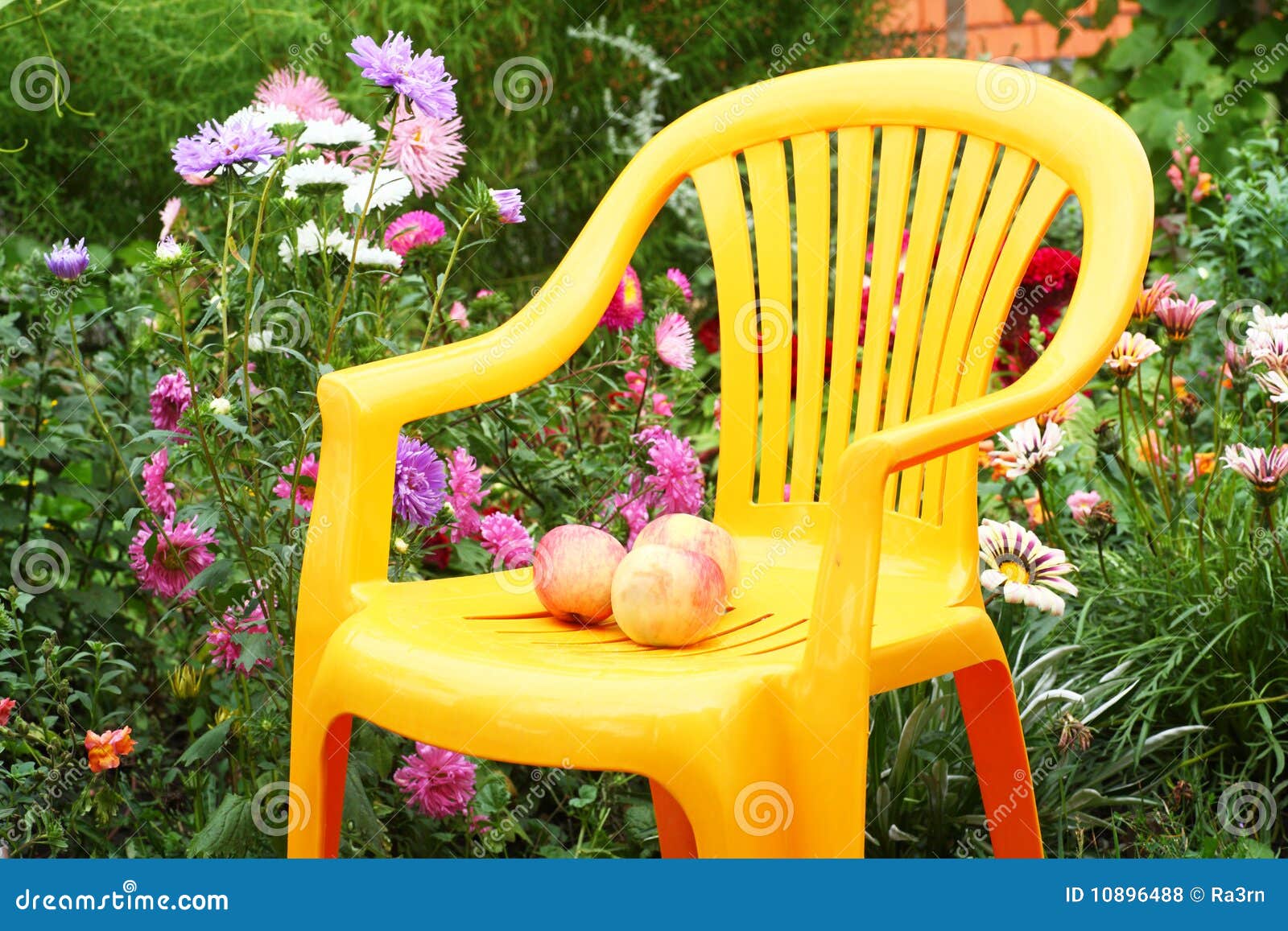 Chair in the garden stock photo. Image of garden, color 10896488