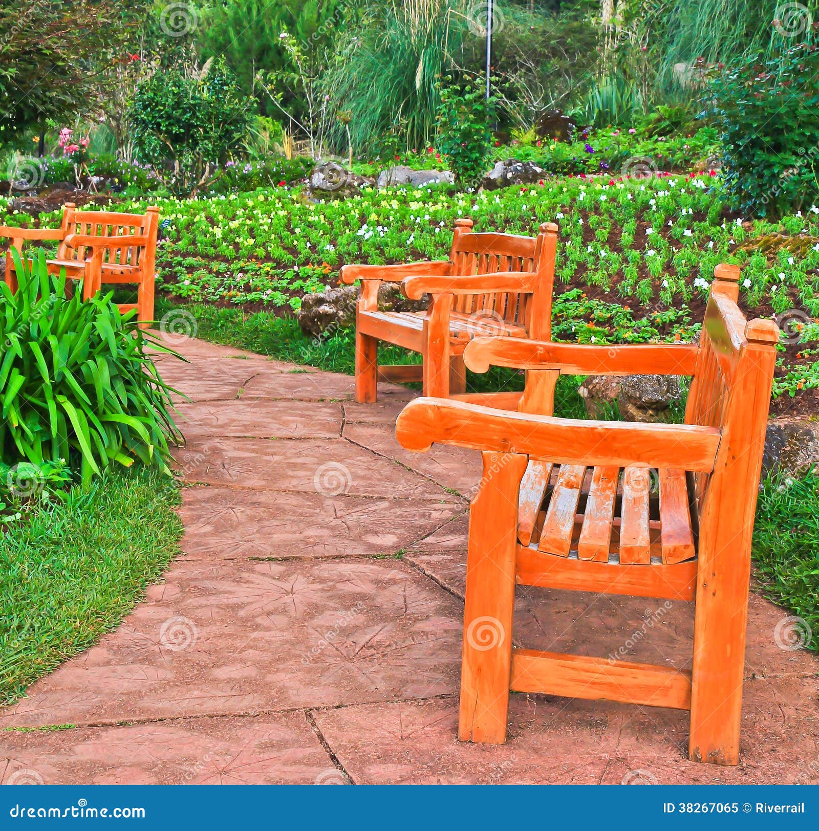 Chair in the garden stock image. Image of path, bloom 38267065