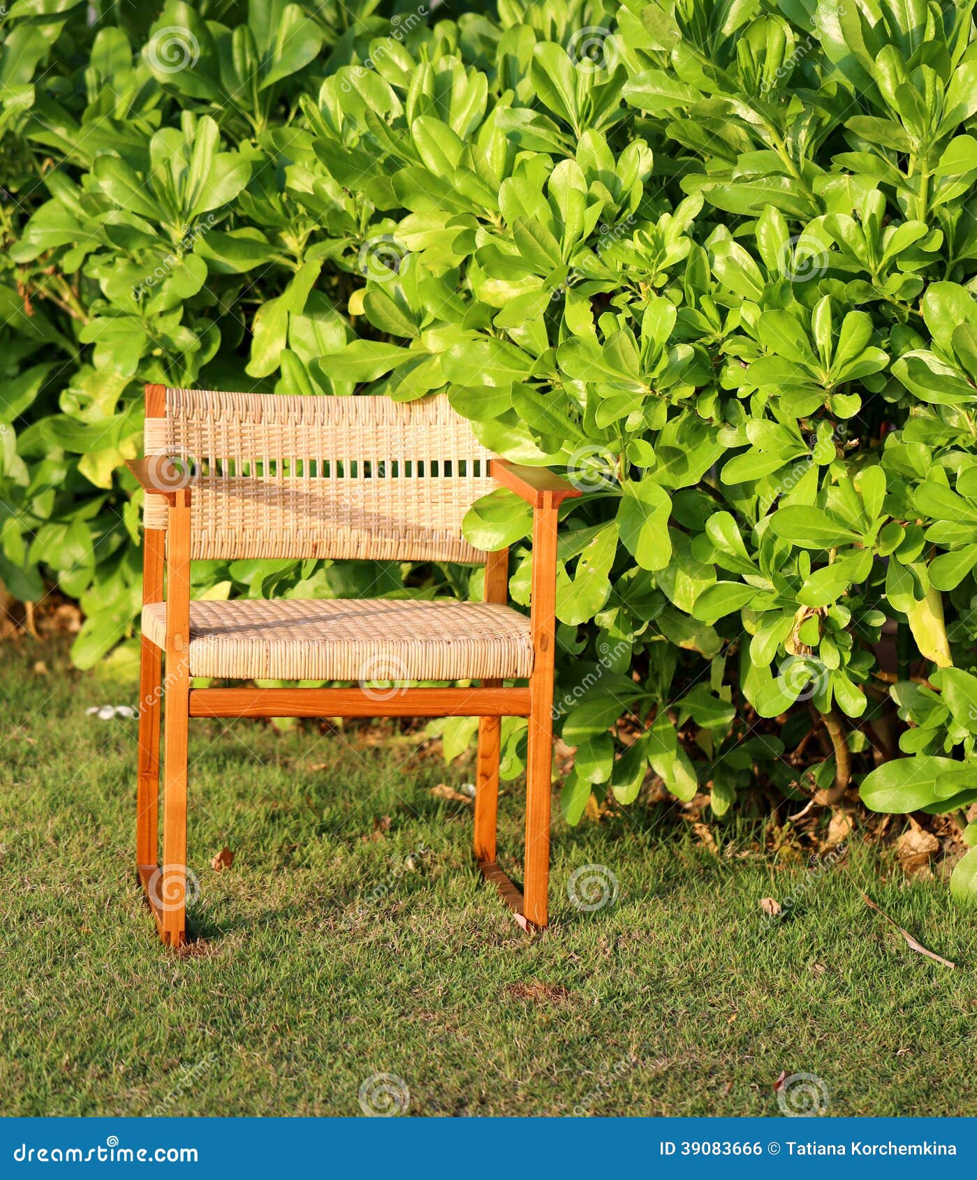 Chair on green bush stock photo. Image of bush, relax 39083666