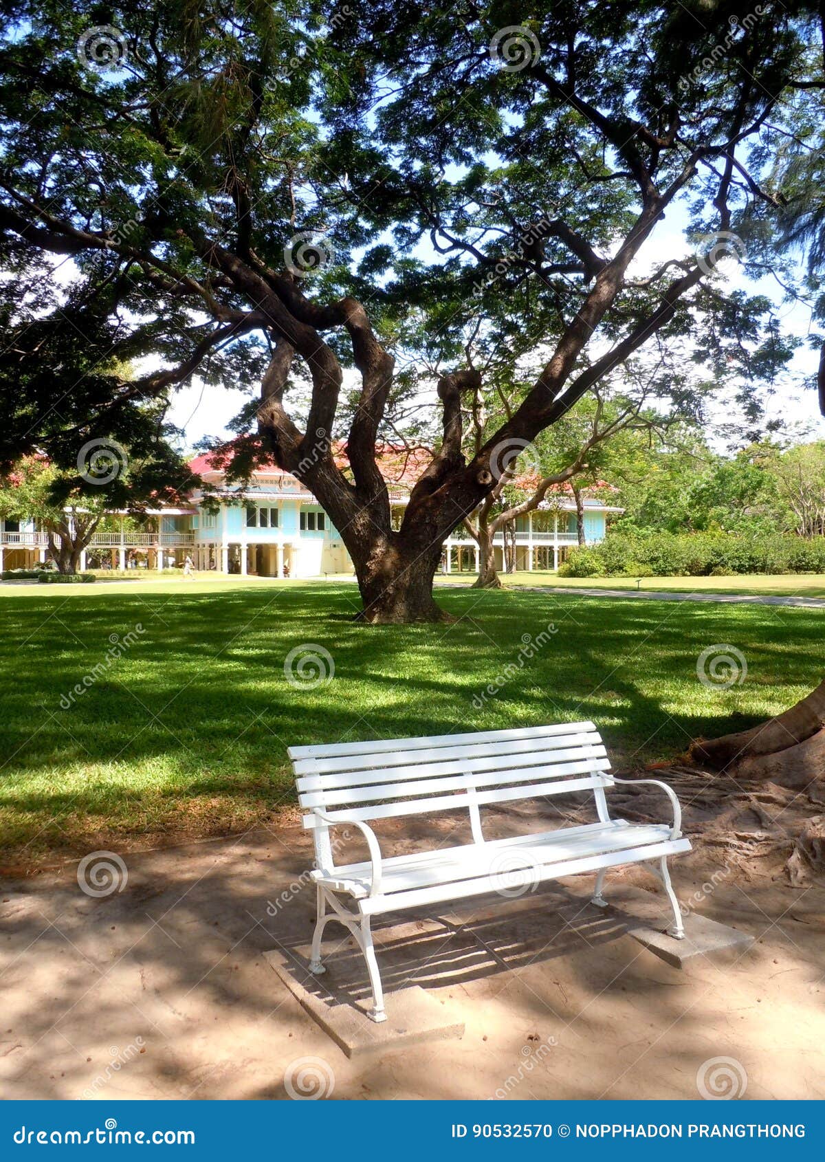 A chair in the park stock photo. Image of grass, lonely 90532570