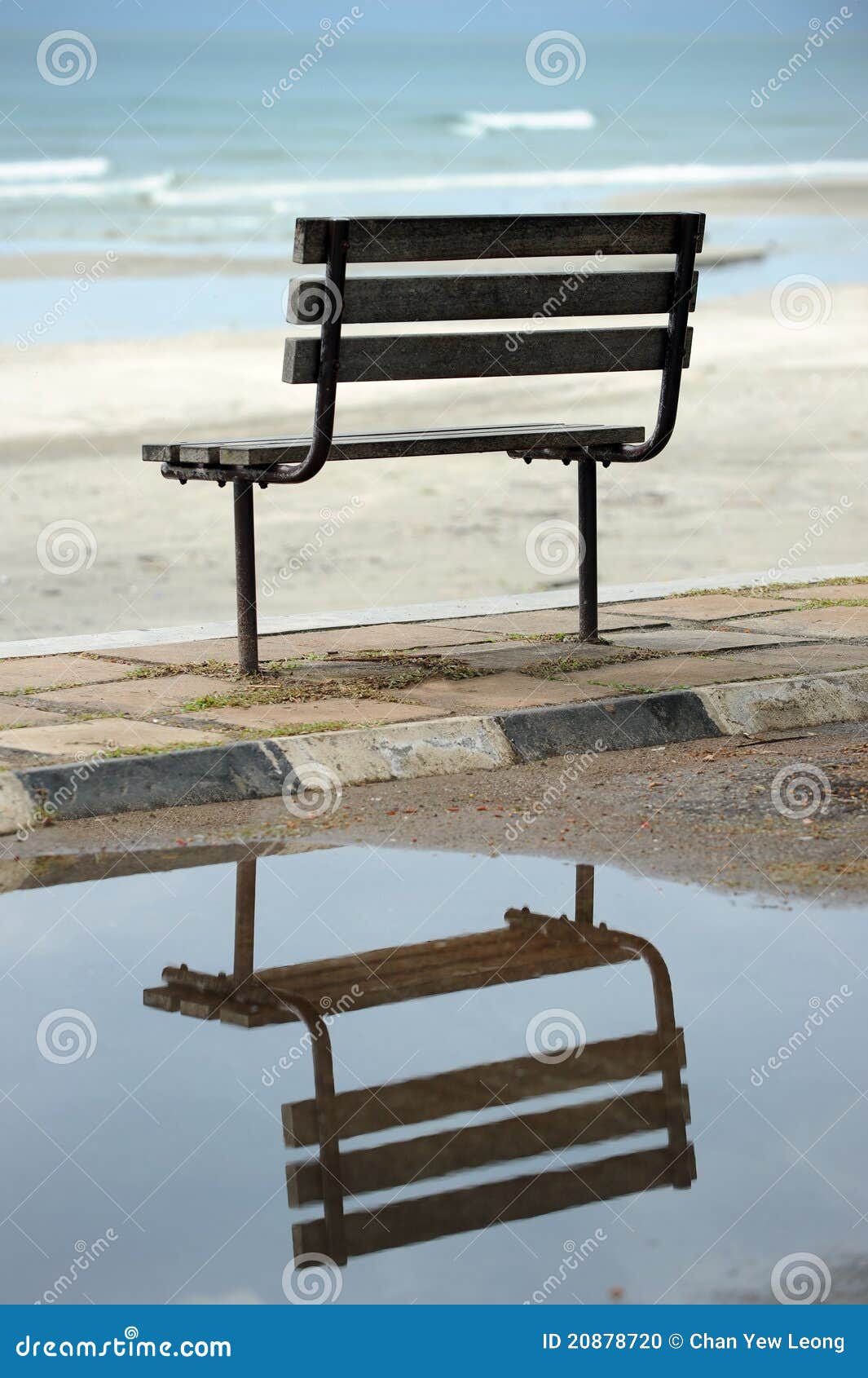Chair reflection stock photo. Image of seashore, reflection 20878720