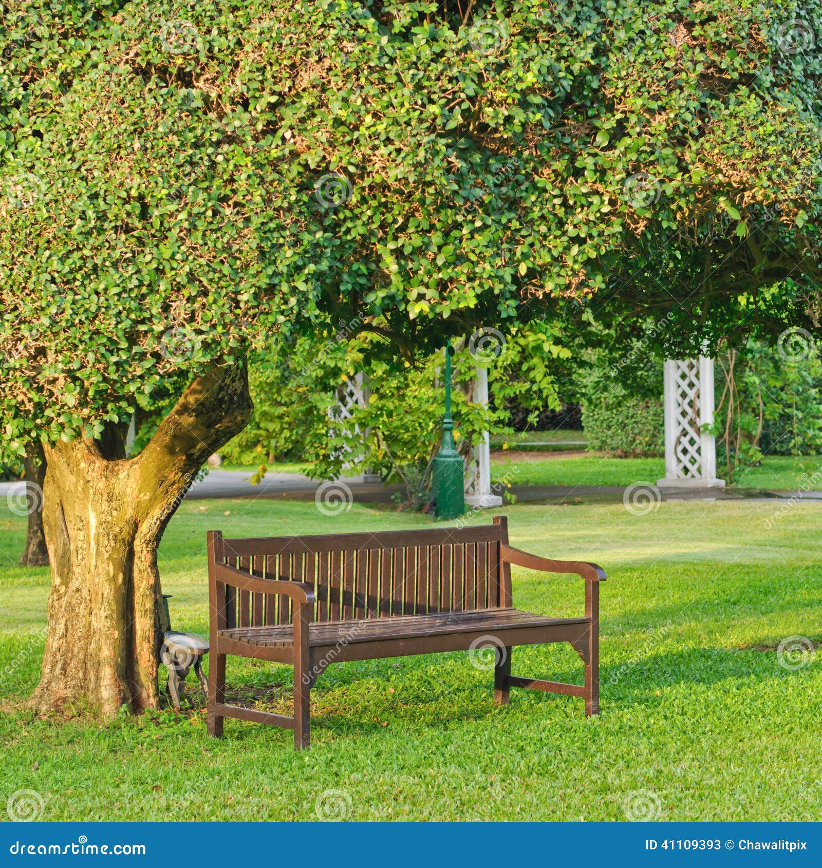 Chair Under The Tree Stock Photo - Image: 41109393