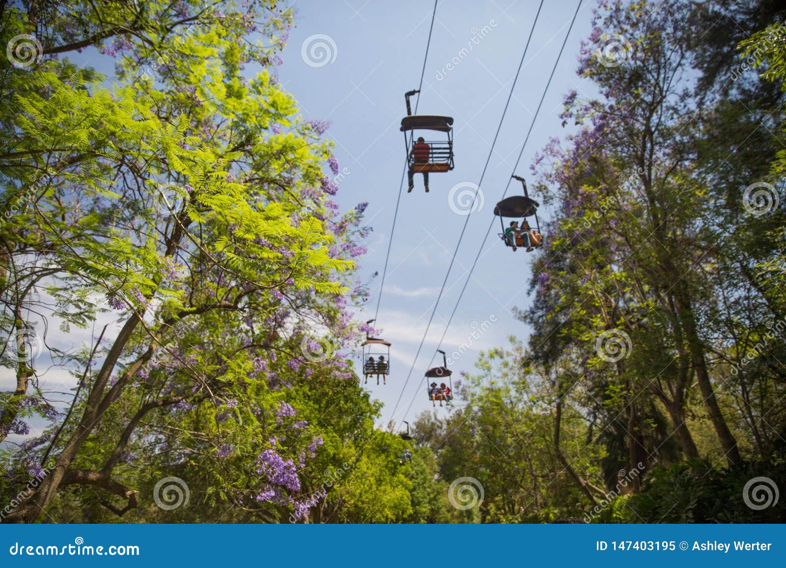 chair lift at zoologico guadalajara