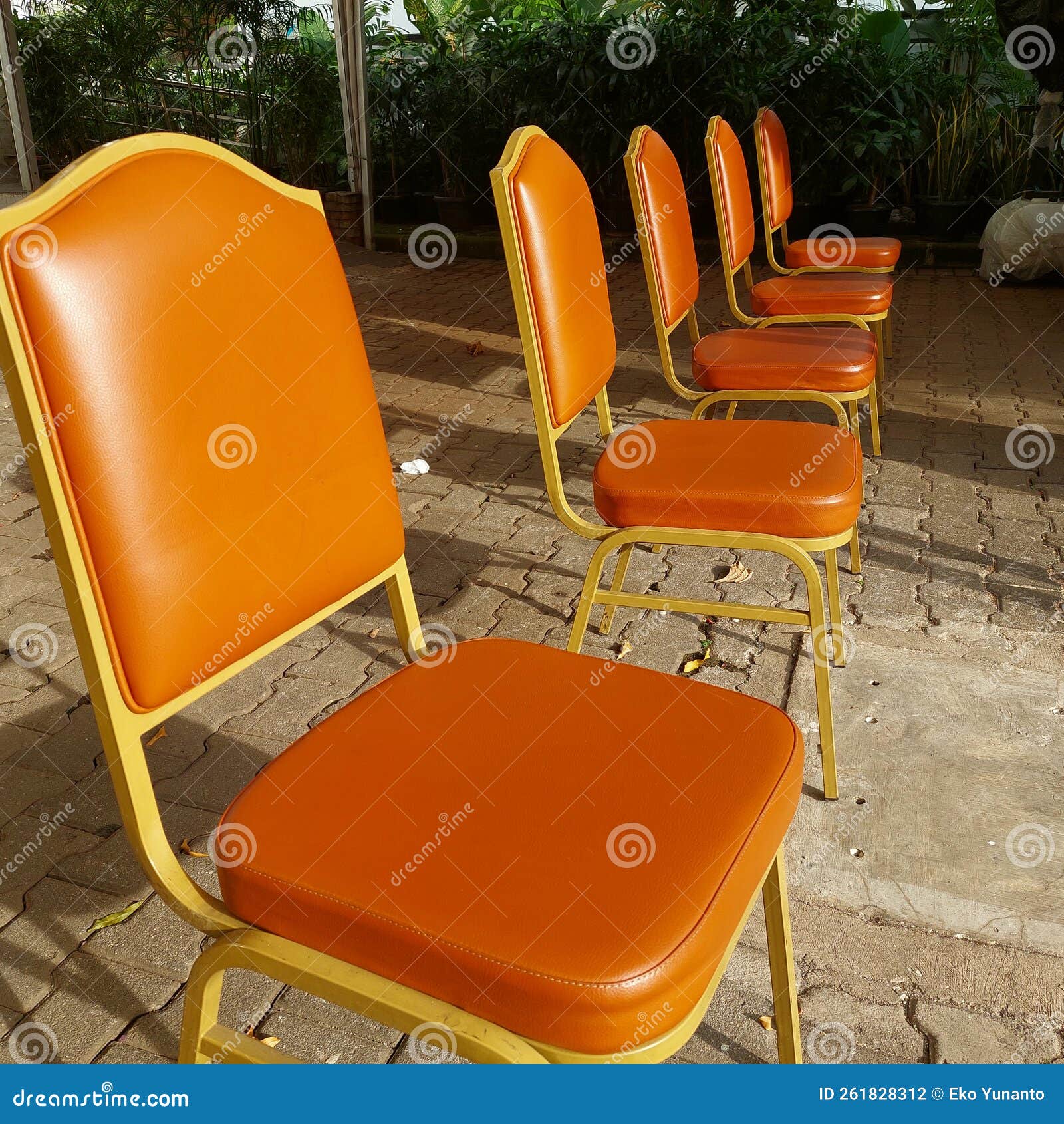 Chairs Arranged for the Queue of Visitors Stock Photo Image of chair