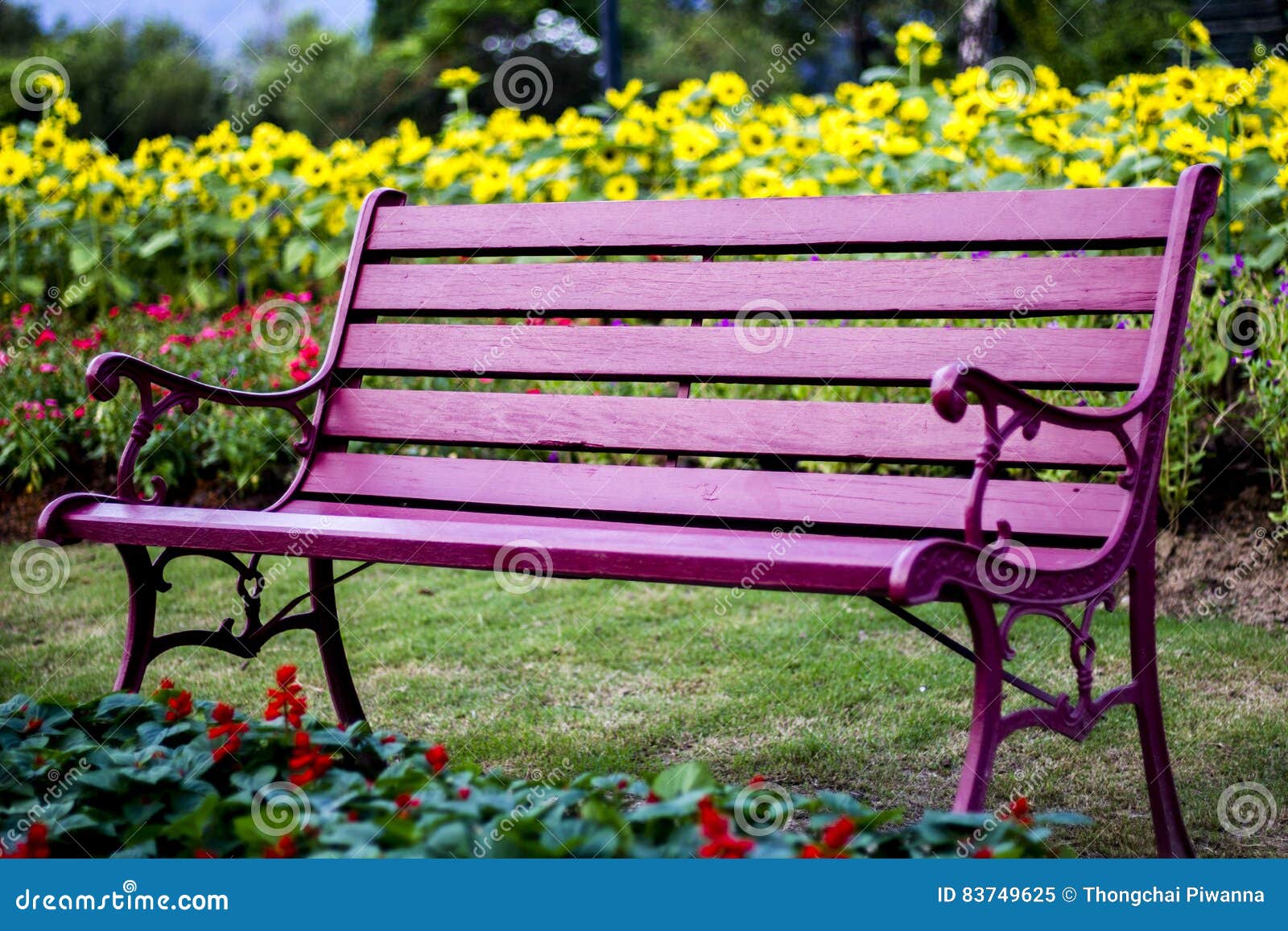 Chairs in flower garden stock image. Image of natural - 83749625
