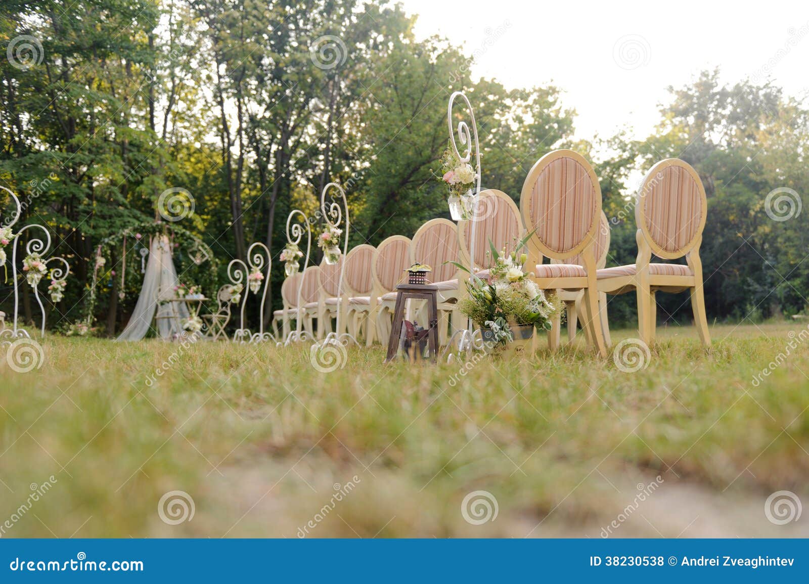 Chairs for Wedding Guests stock photo. Image of arrangement 38230538
