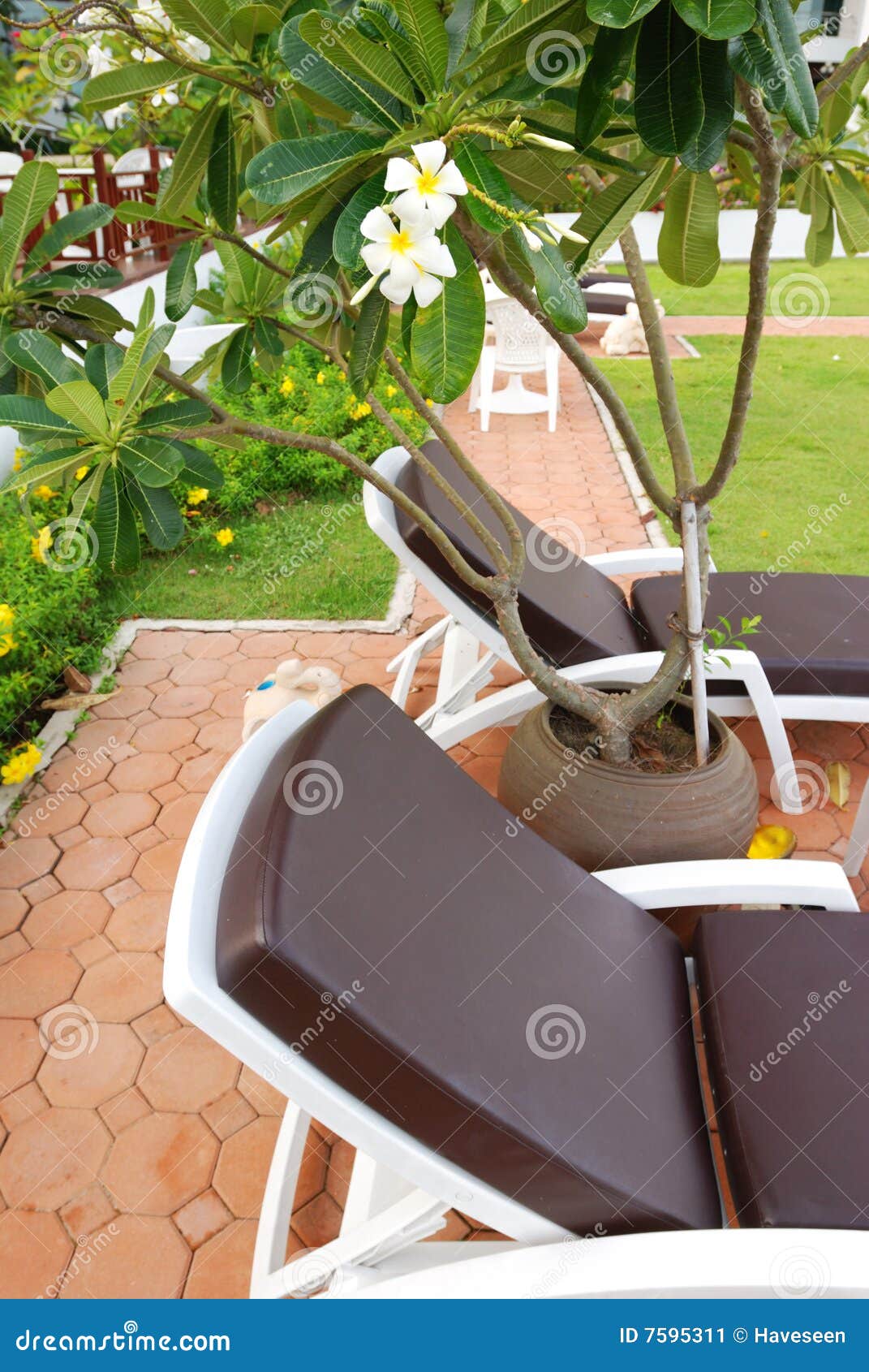 Chaise Lounge patio stock image. Image of deck, chair 7595311