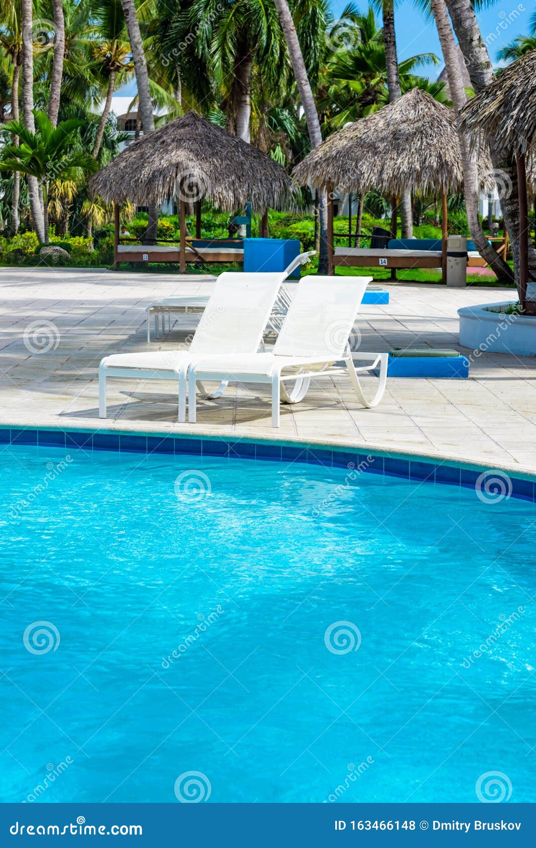 Chaise lounge by the pool stock photo. Image of palm 163466148