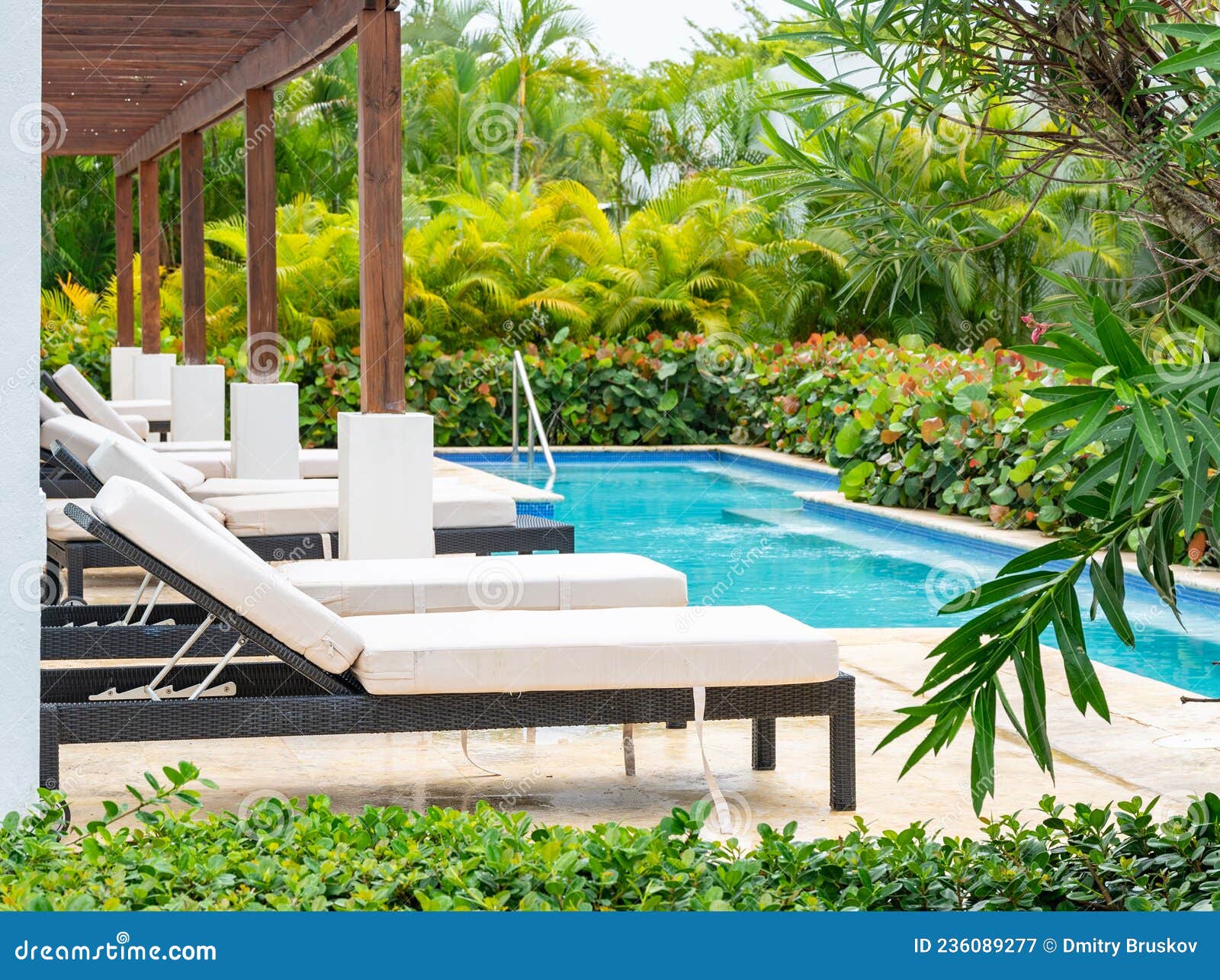 Chaise lounge by the pool stock image. Image of resort 236089277
