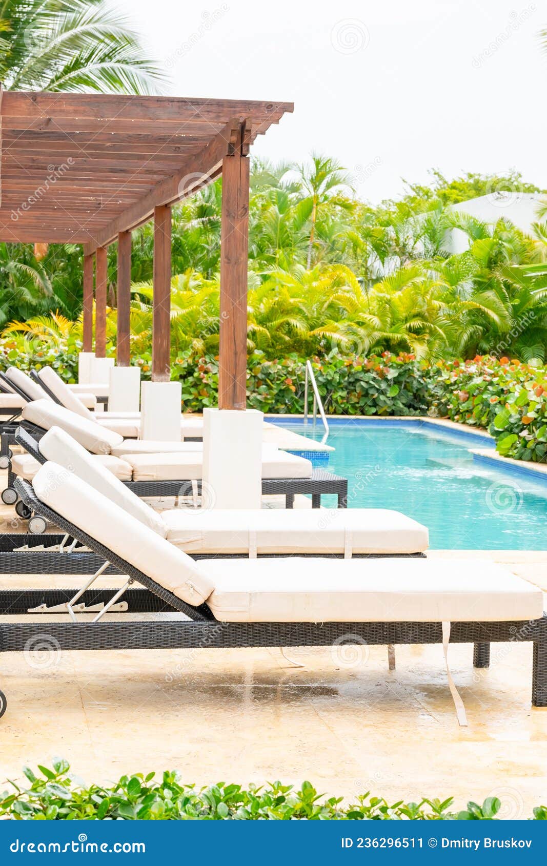 Chaise lounge by the pool stock image. Image of lifestyle 236296511