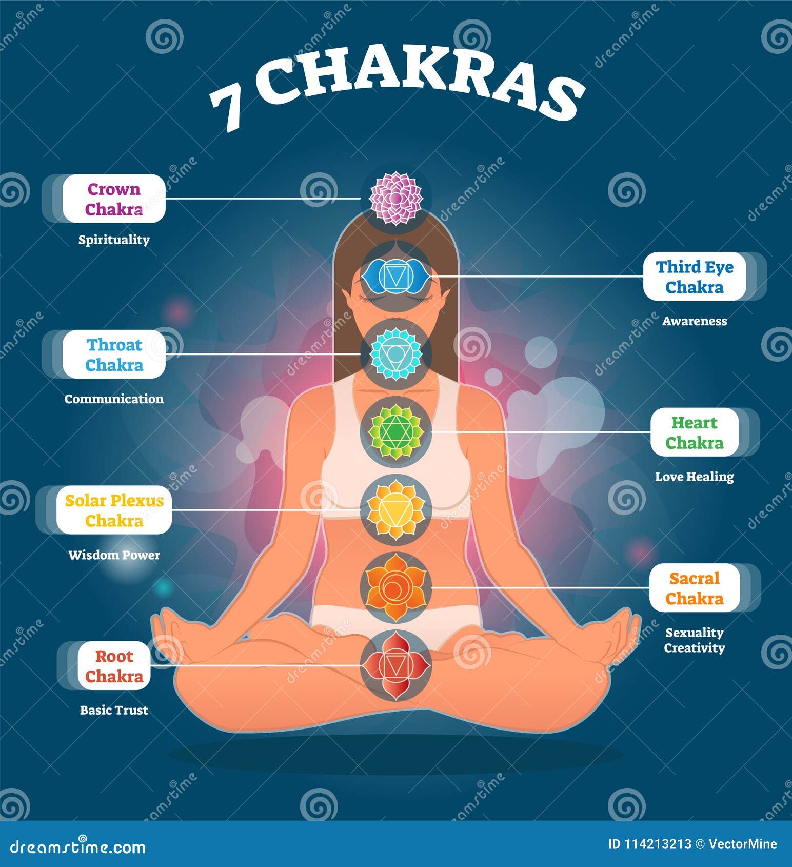 7 Chakra Bedeutungen Und Symbole Vektorillustrationsdiagramm Mit Frau In Der Lotoshaltung Vektor Abbildung Illustration Von Menschlich Sacral