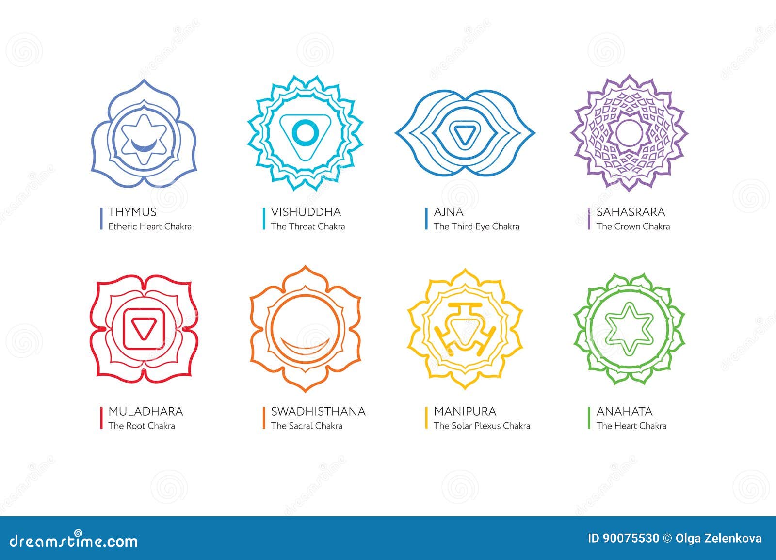 chakras system of human body - used in hinduism, buddhism, yoga and ayurveda.