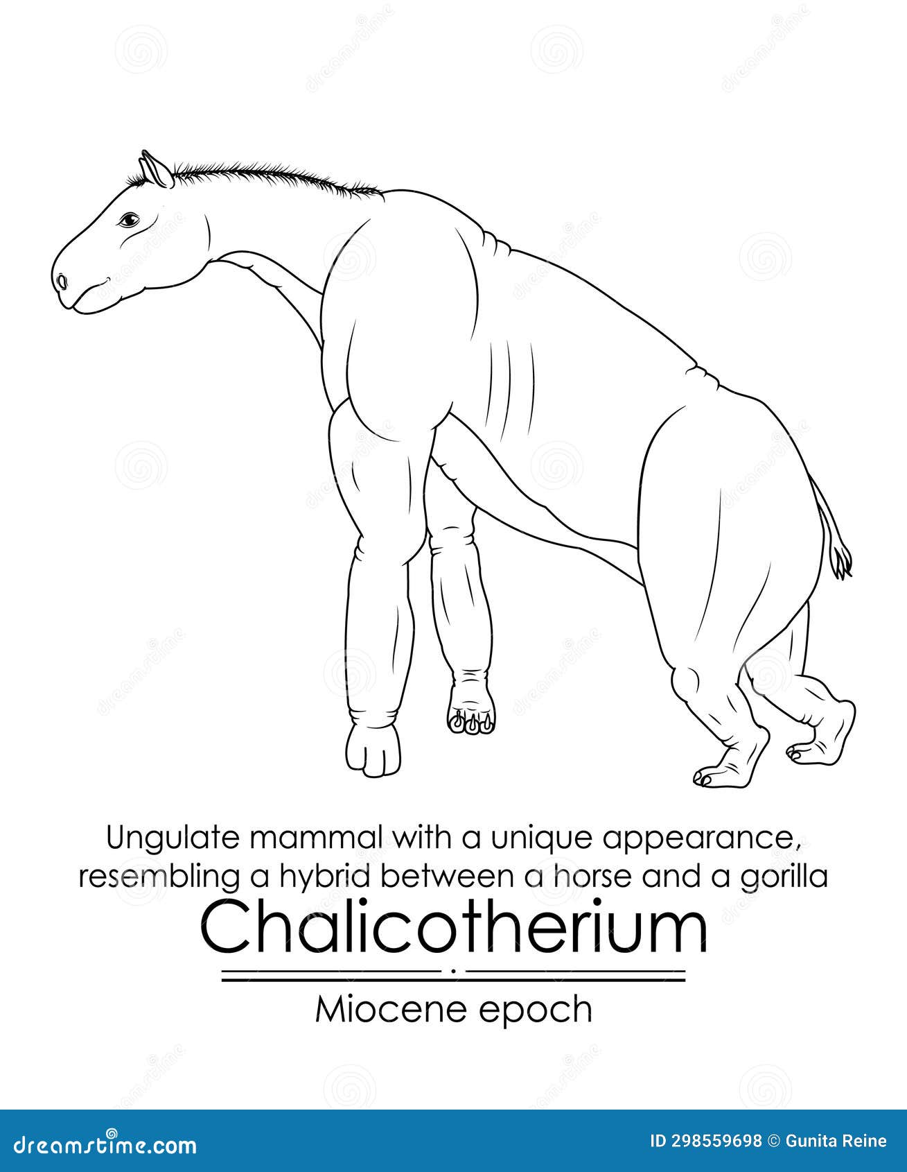 chalicotherium, ungulate mammal with a unique appearance