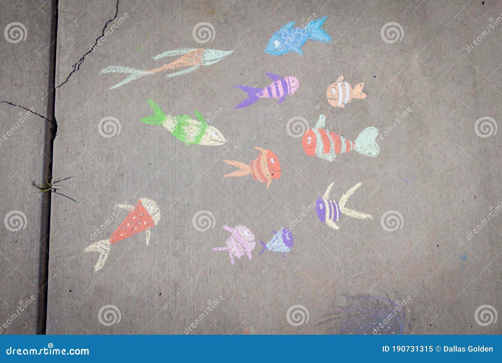 Chalk Art of Fish on Sidewalk Stock Image Image of concrete, chalk