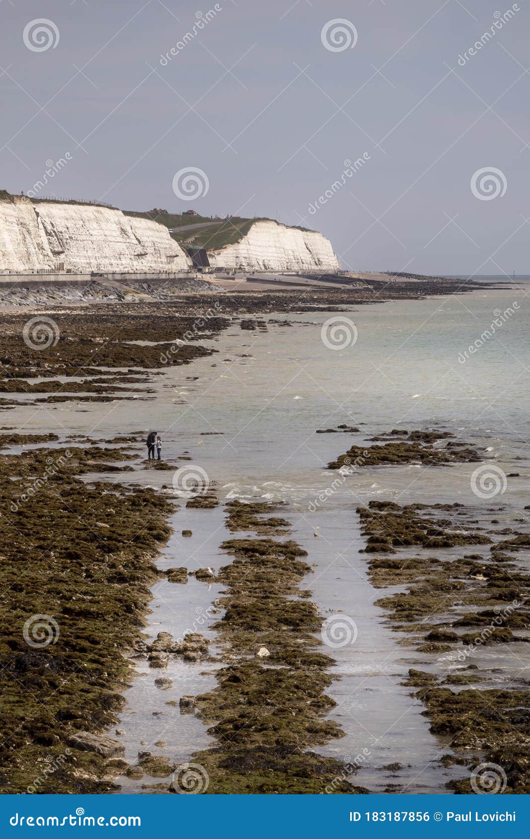 Chalk Cliffs at Brighton Marina Stock Photo Image of chalk, tide