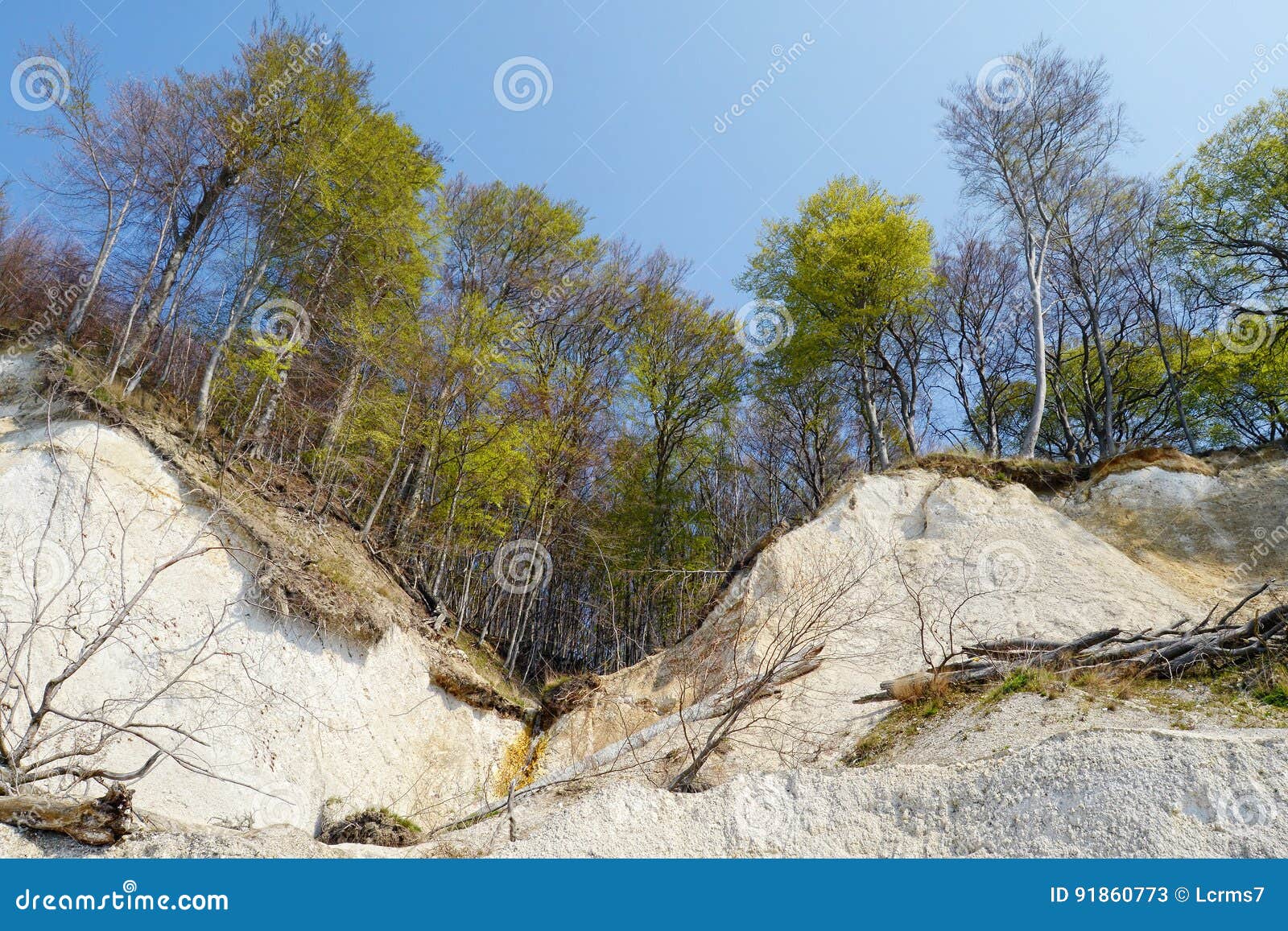 Chalk Rock Cliff of Rugen Island Germany in Springtime. Stock Image