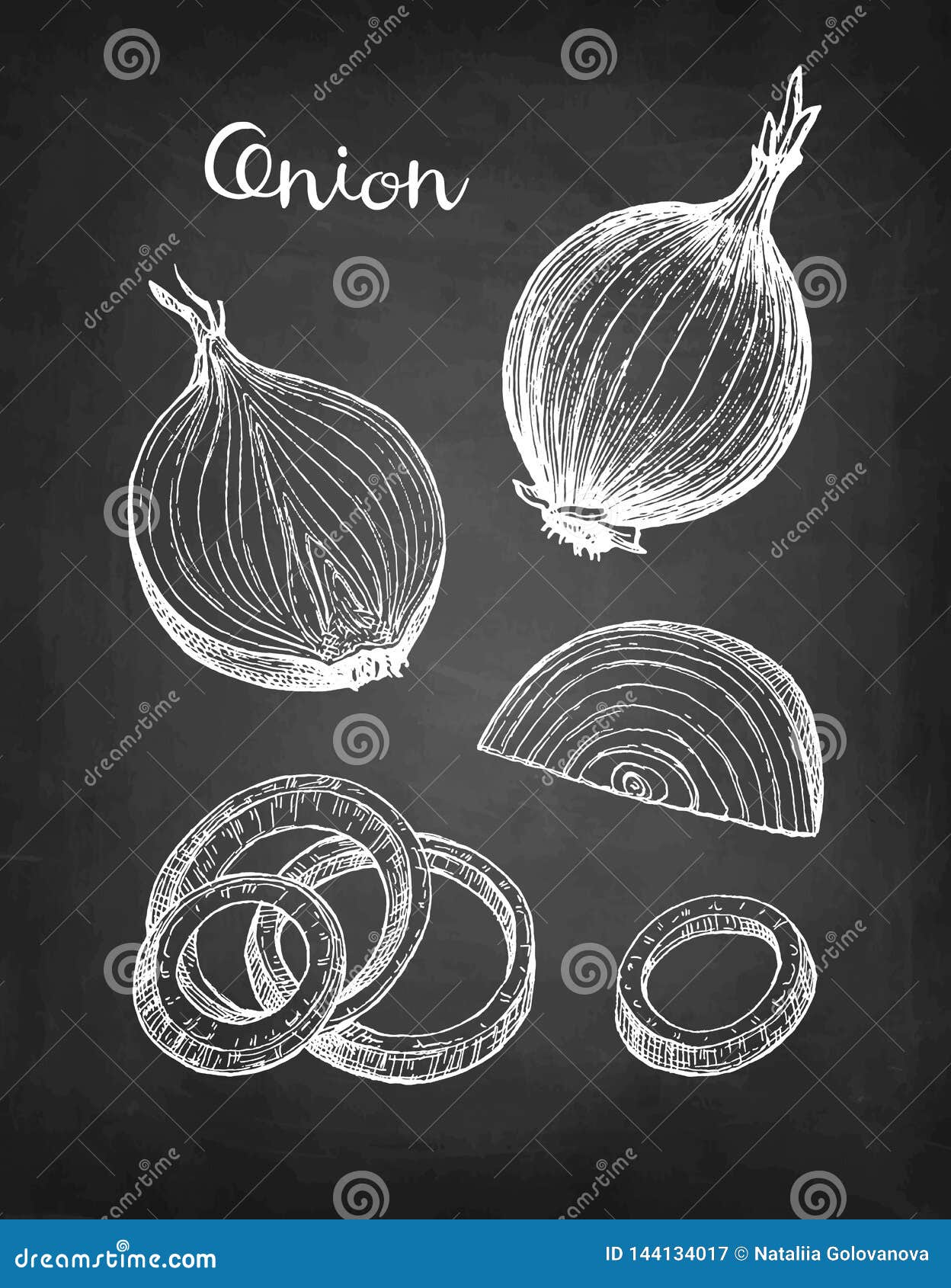 Onion drawing and colouring || How to draw onion and colour || - YouTube