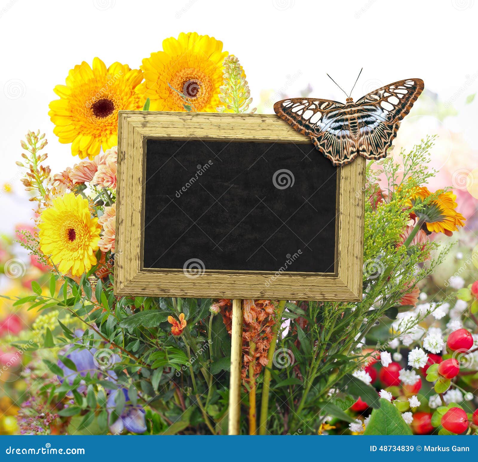 Chalkboard in the garden stock illustration. Illustration of lawn