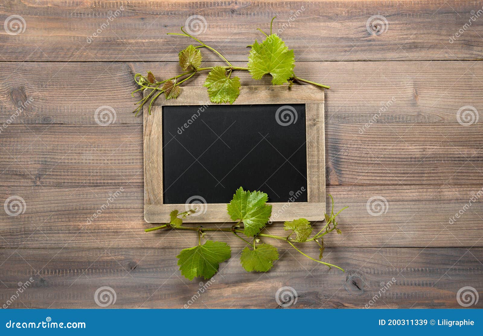 Chalkboard Green Vine Leaves Decoration Stock Image Image of
