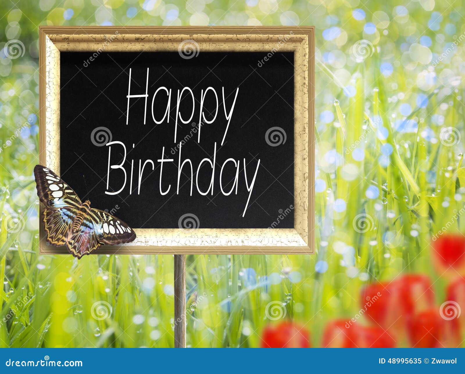 1 439 Birthday Chalkboard Happy Photos Free Royalty Free Stock Photos From Dreamstime