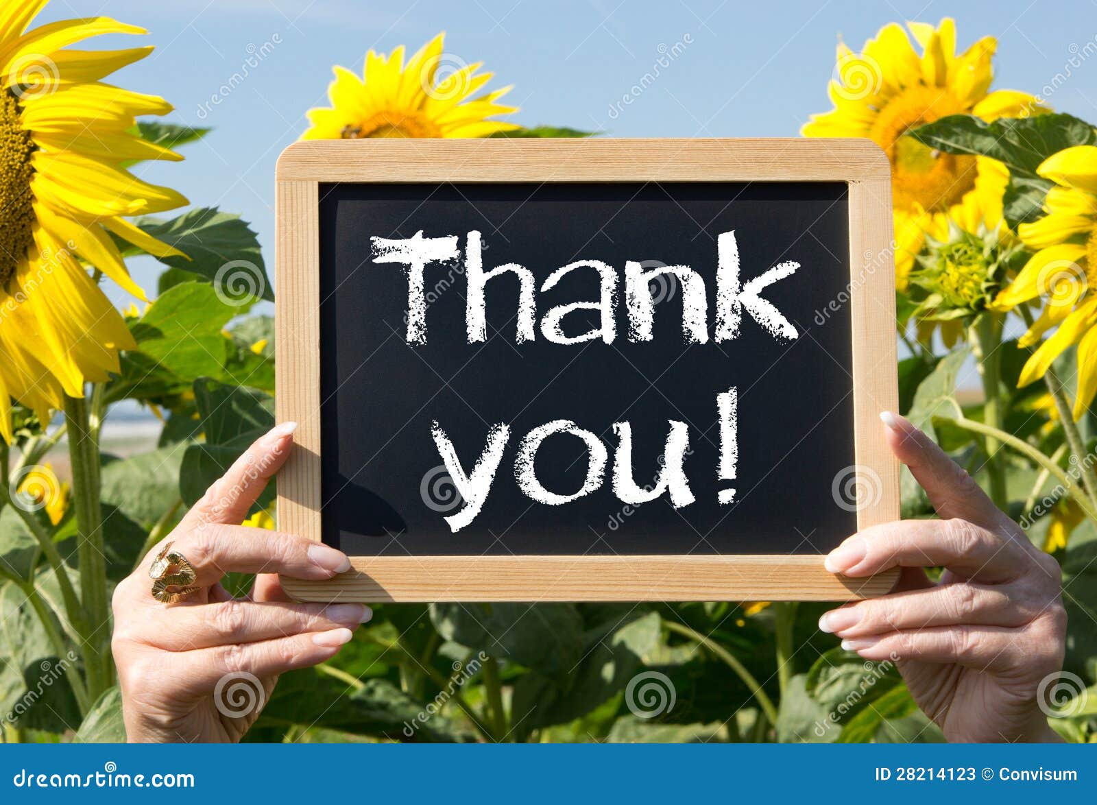 Chalkboard with thanks stock image. Image of field, chalk - 28214123