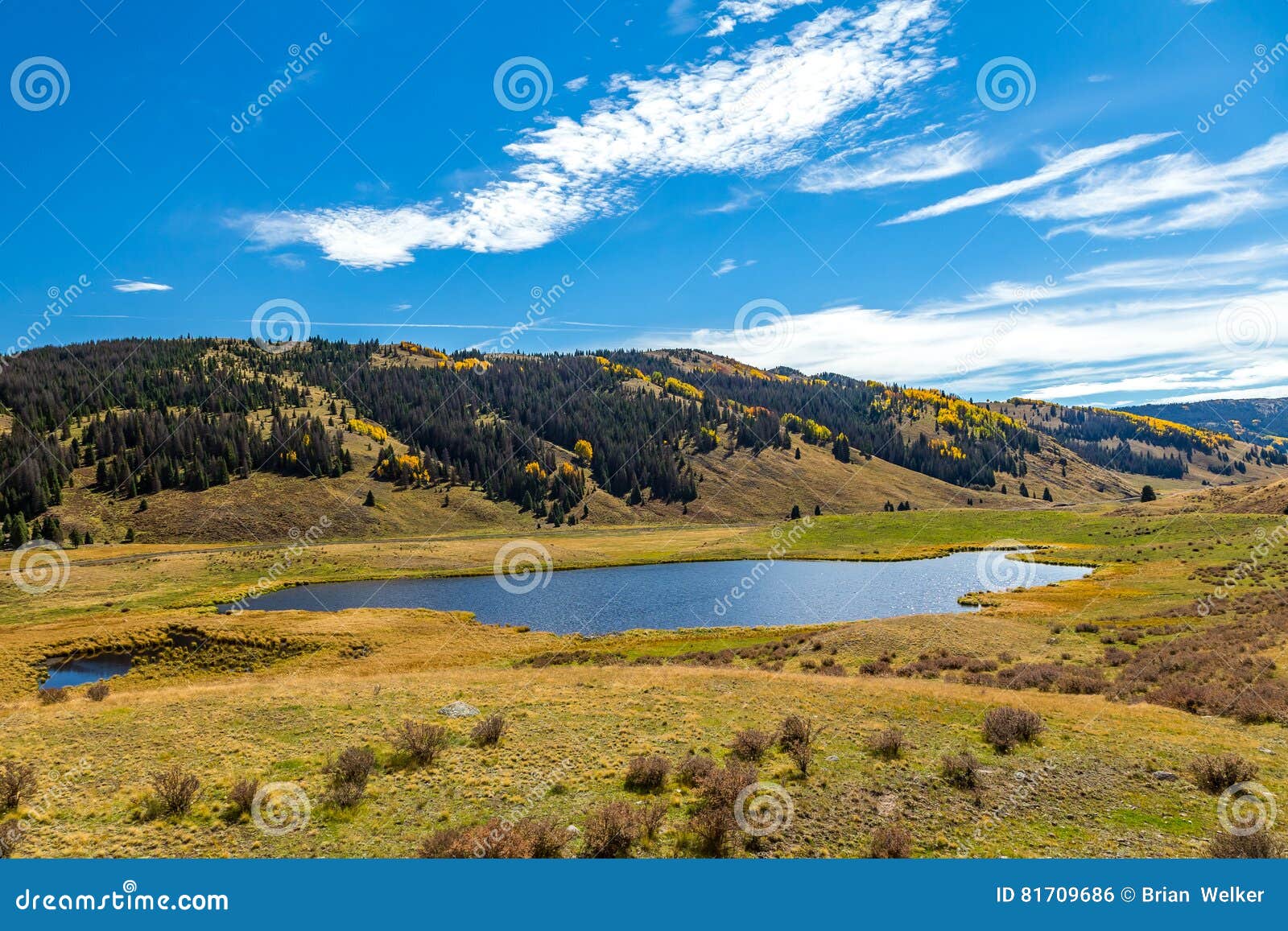 Chama к Antonito. Красивый пейзаж горы с потоками, долинами, и деревьями цвета изменяя вдоль трассы поезда от Chama, Неш-Мексико к Antonito, Колорадо