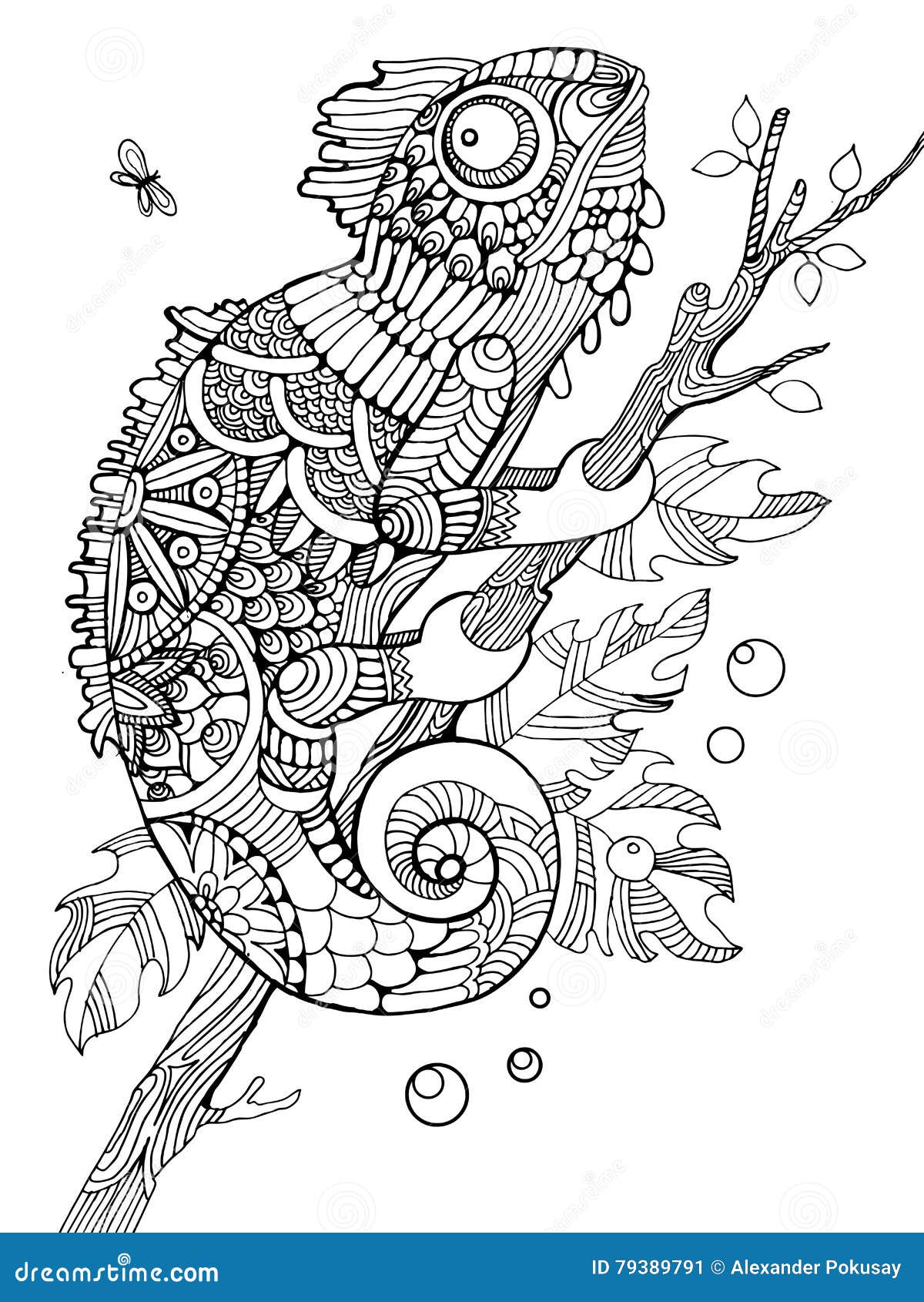 Chameleon Coloring Book for Adults Vector Stock Vector - Illustration of  decor, black: 79389791