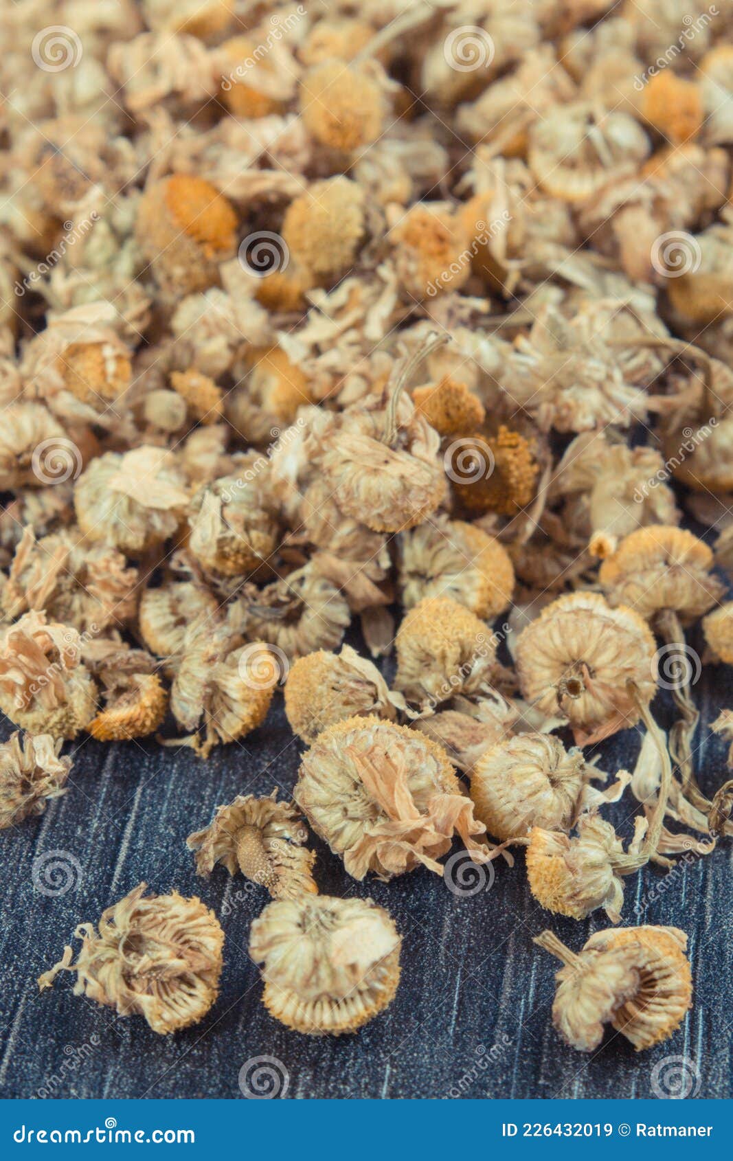 Chamomile As Herb Using in Alternative Medicine. Source Vitamins and Minerals Stock Image