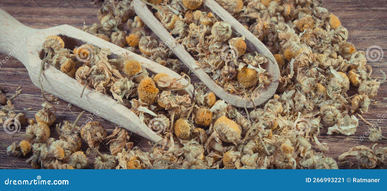 Chamomile As Herb Using in Alternative Medicine. Source Vitamins and Minerals Stock Image