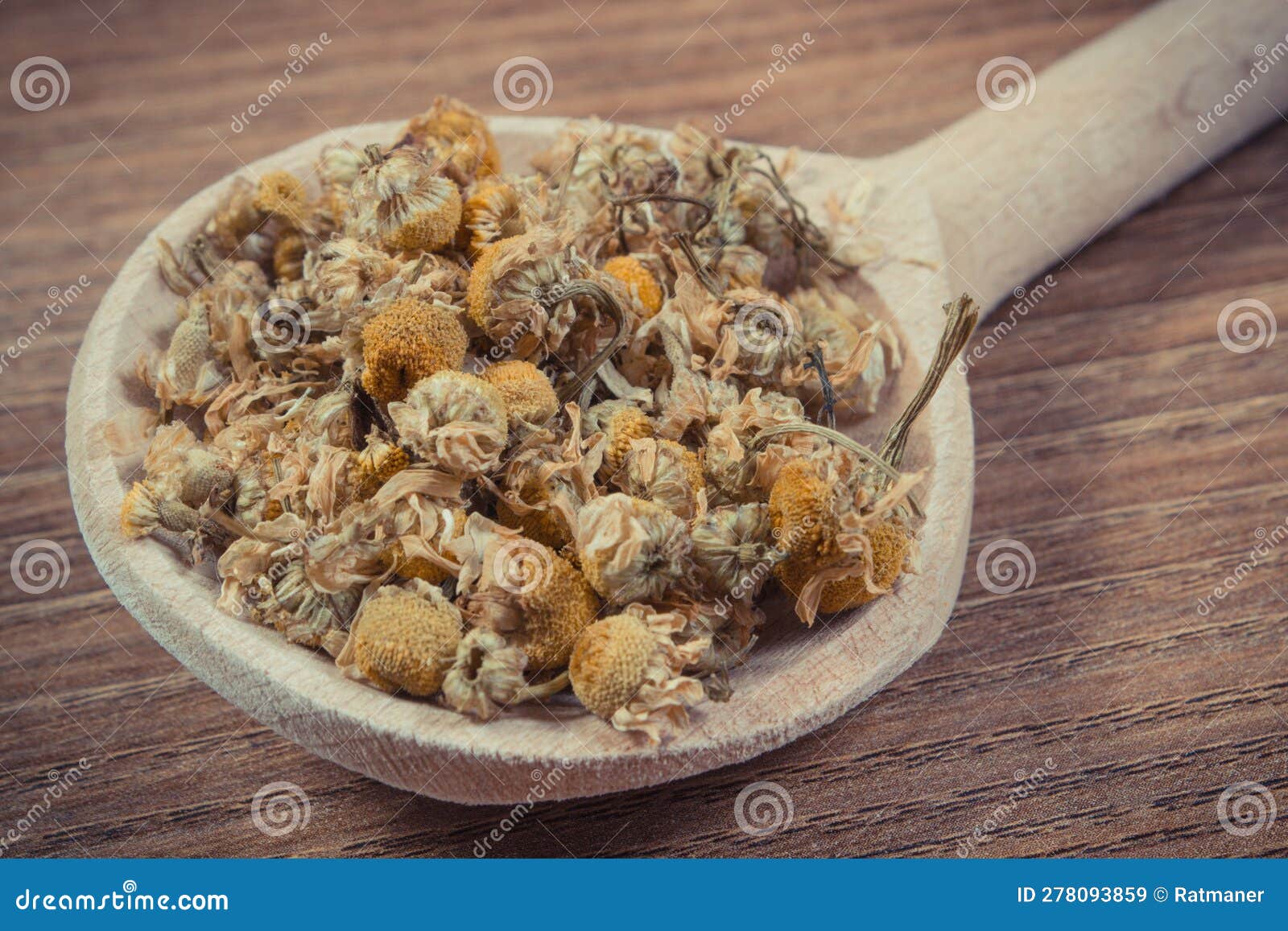 Chamomile As Herb Using in Alternative Medicine. Source Vitamins and