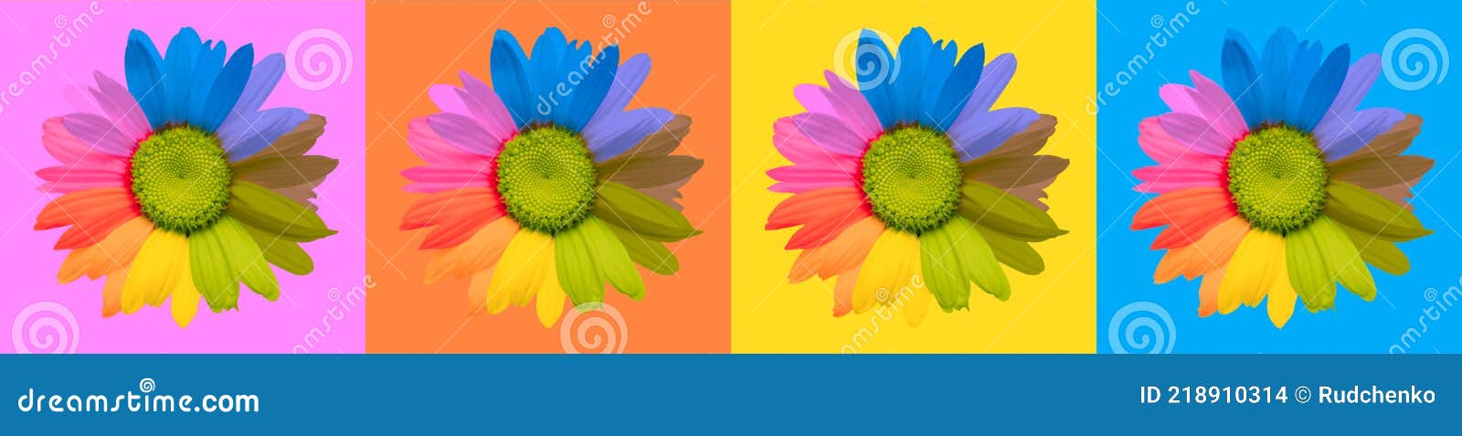 chamomile flower. saturated color background