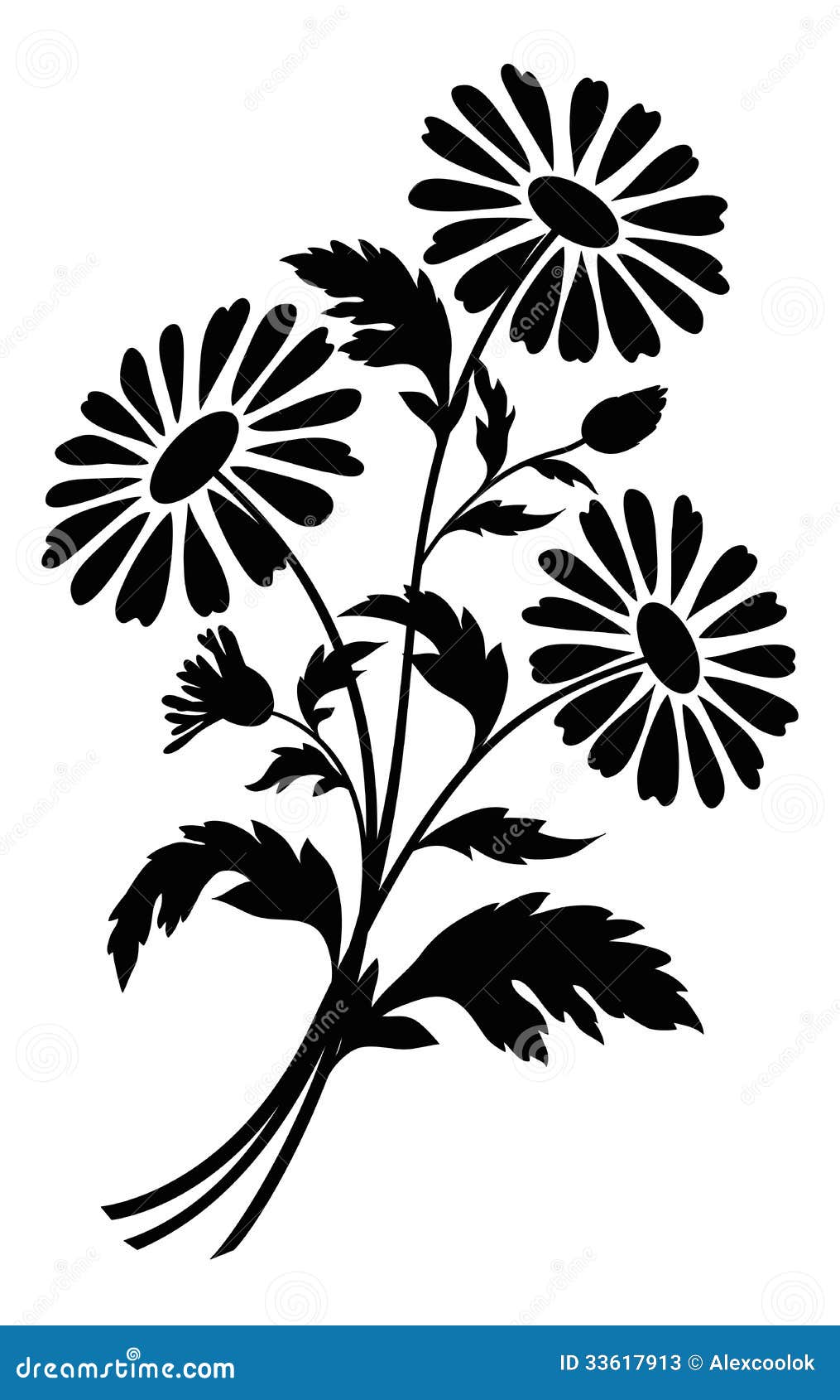 Chamomile Flowers, Silhouettes Stock Vector - Image: 33617913